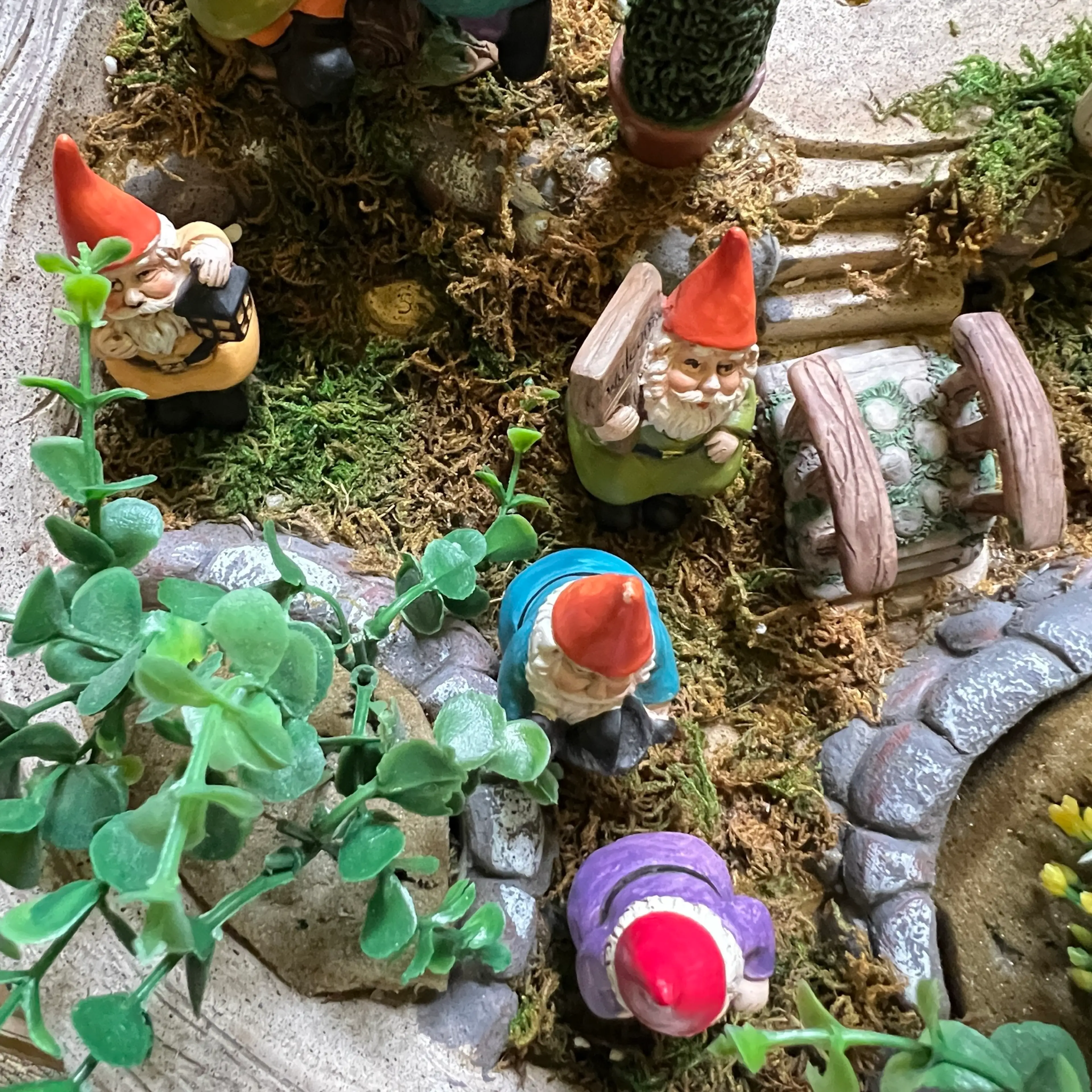 Image 4 of 25