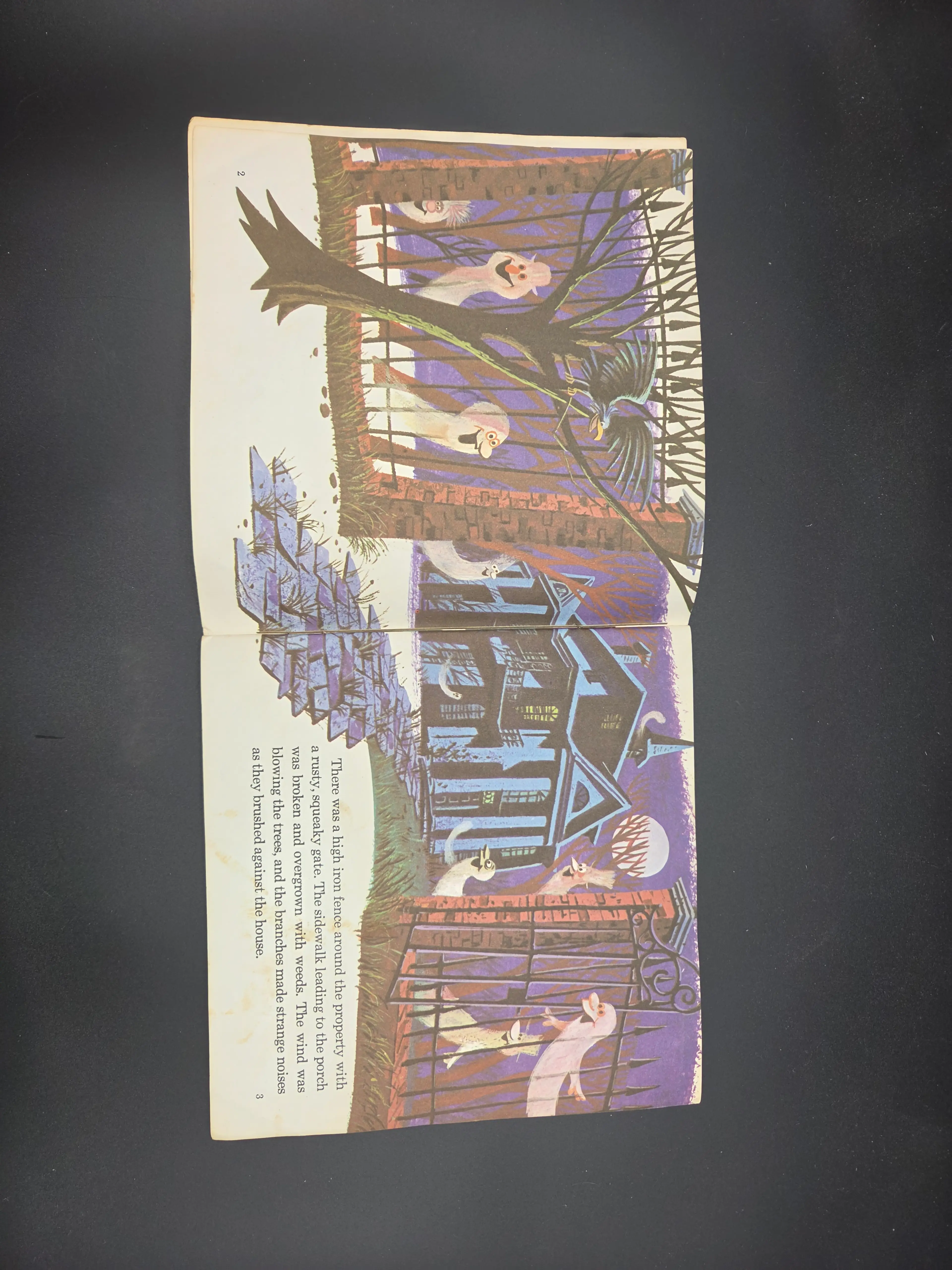 Image 3 of 7