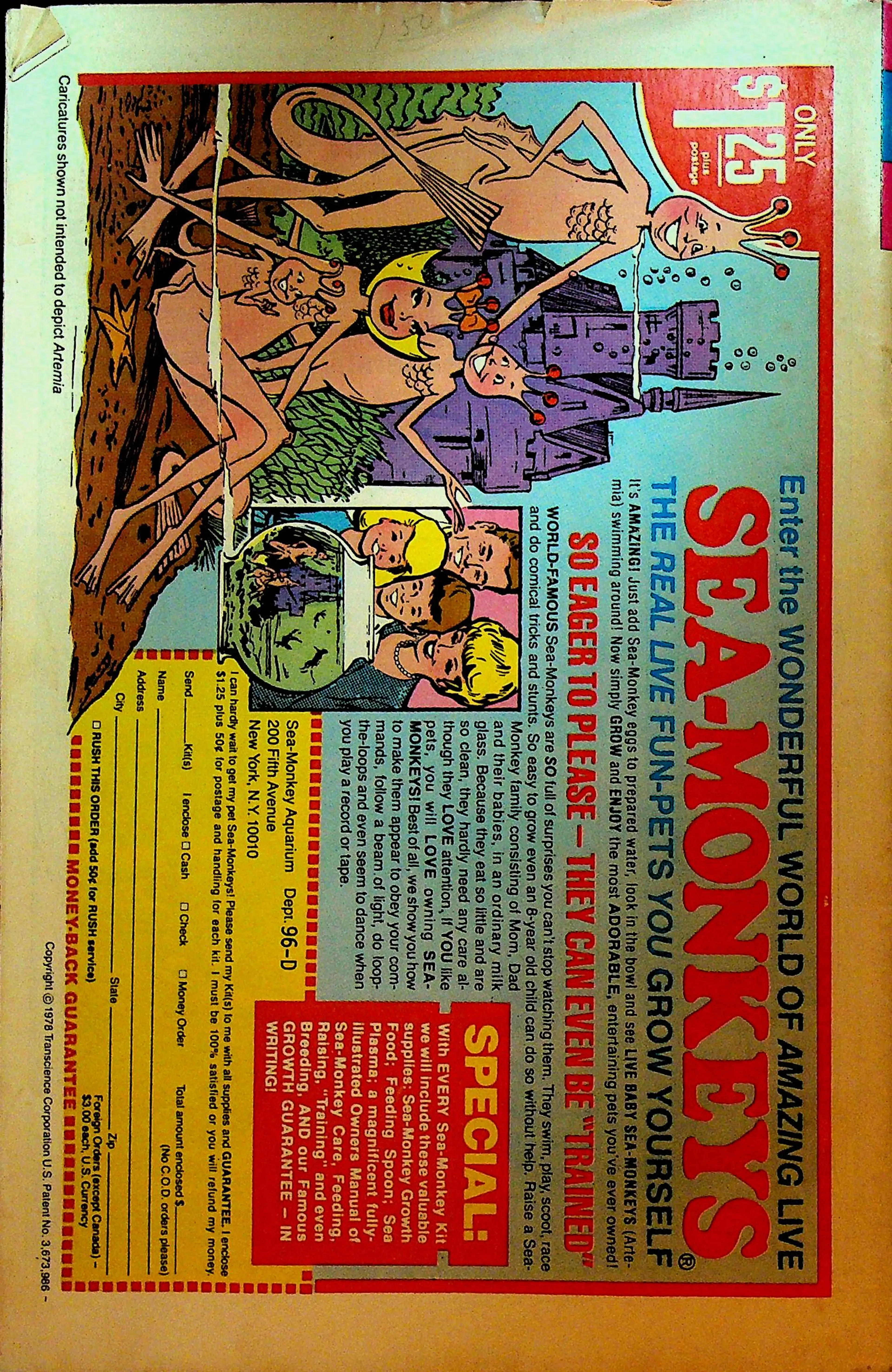 Image 2 of 2