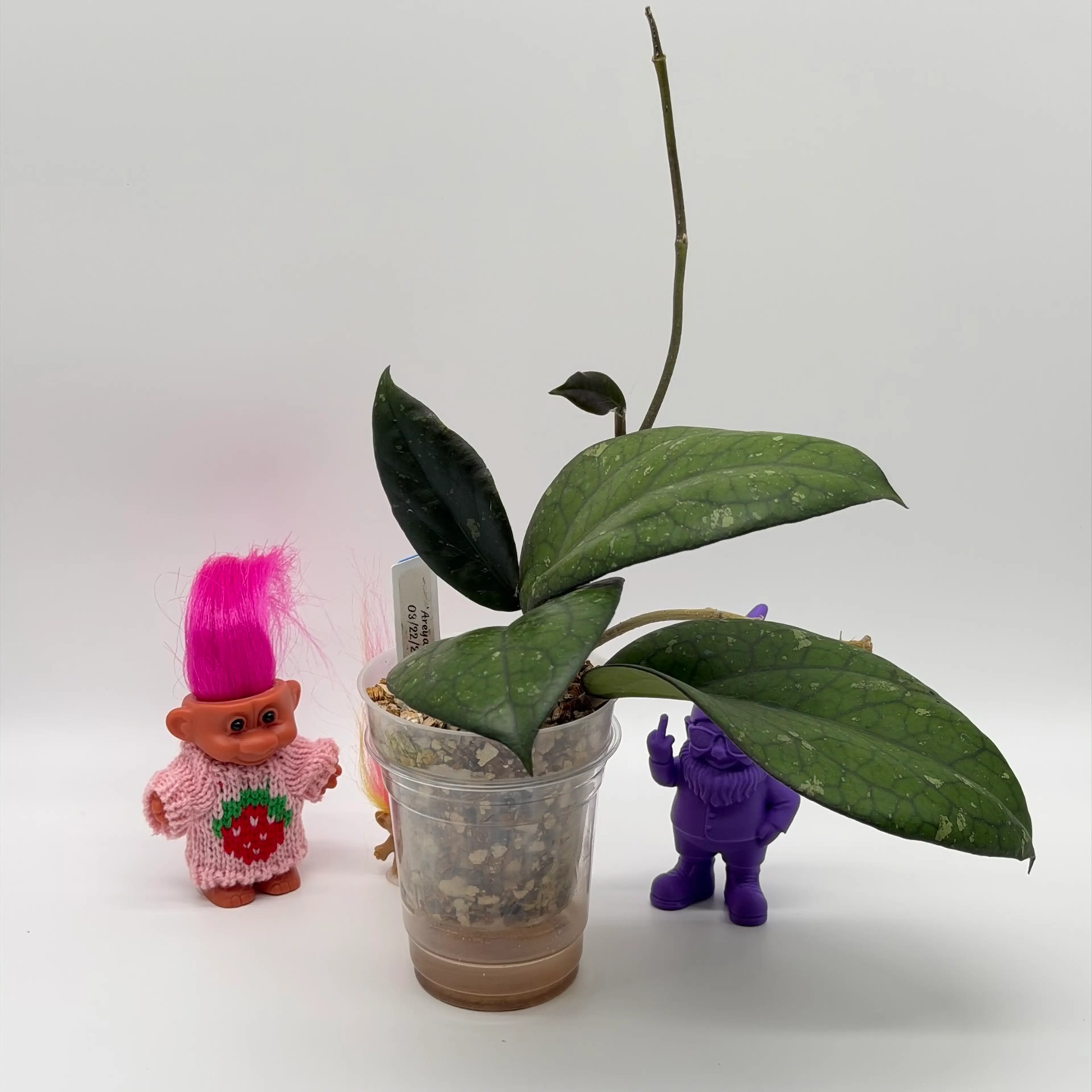 Image 3 of 3