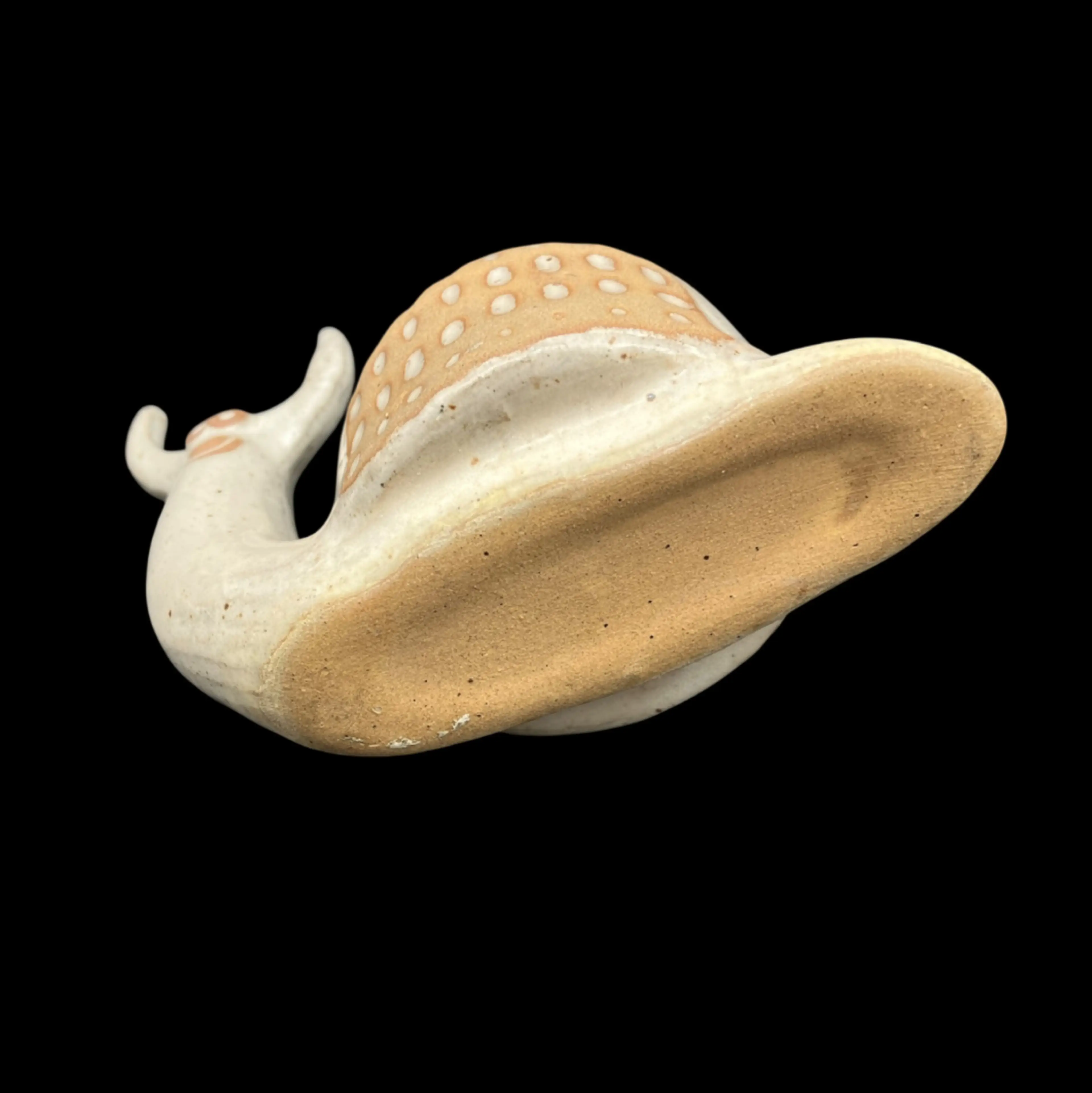 Image 5 of 5