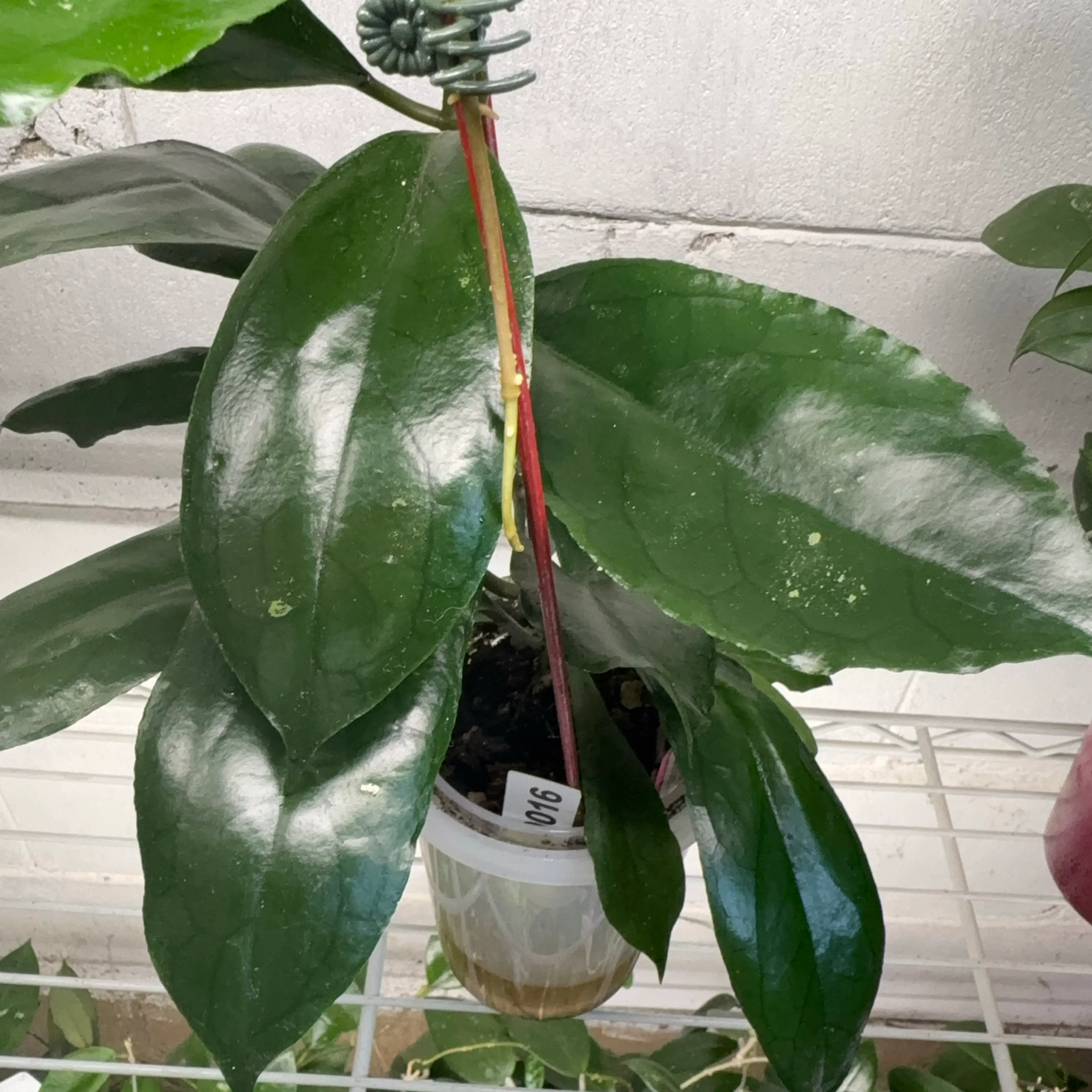 Image 3 of 3