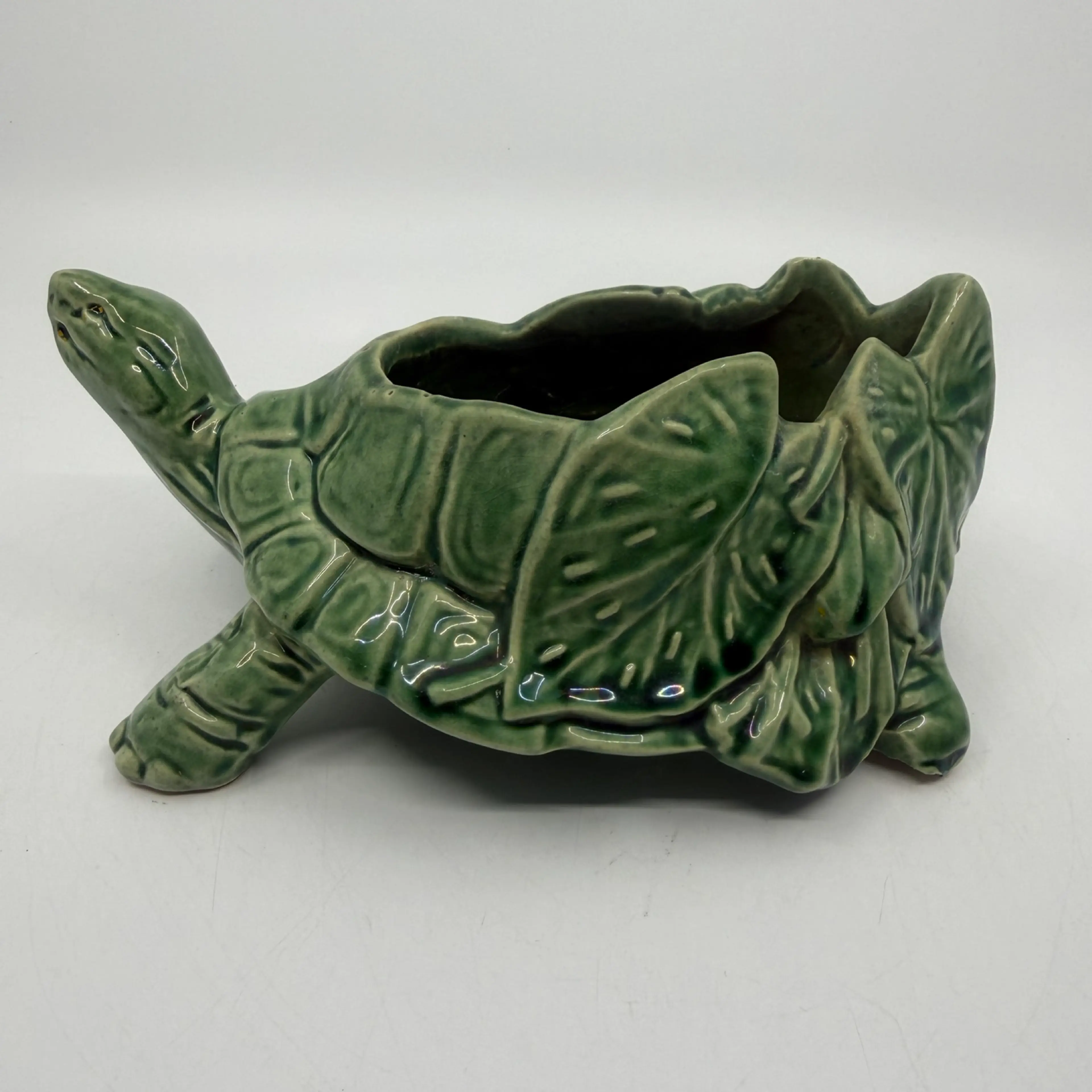 Image 1 of 7