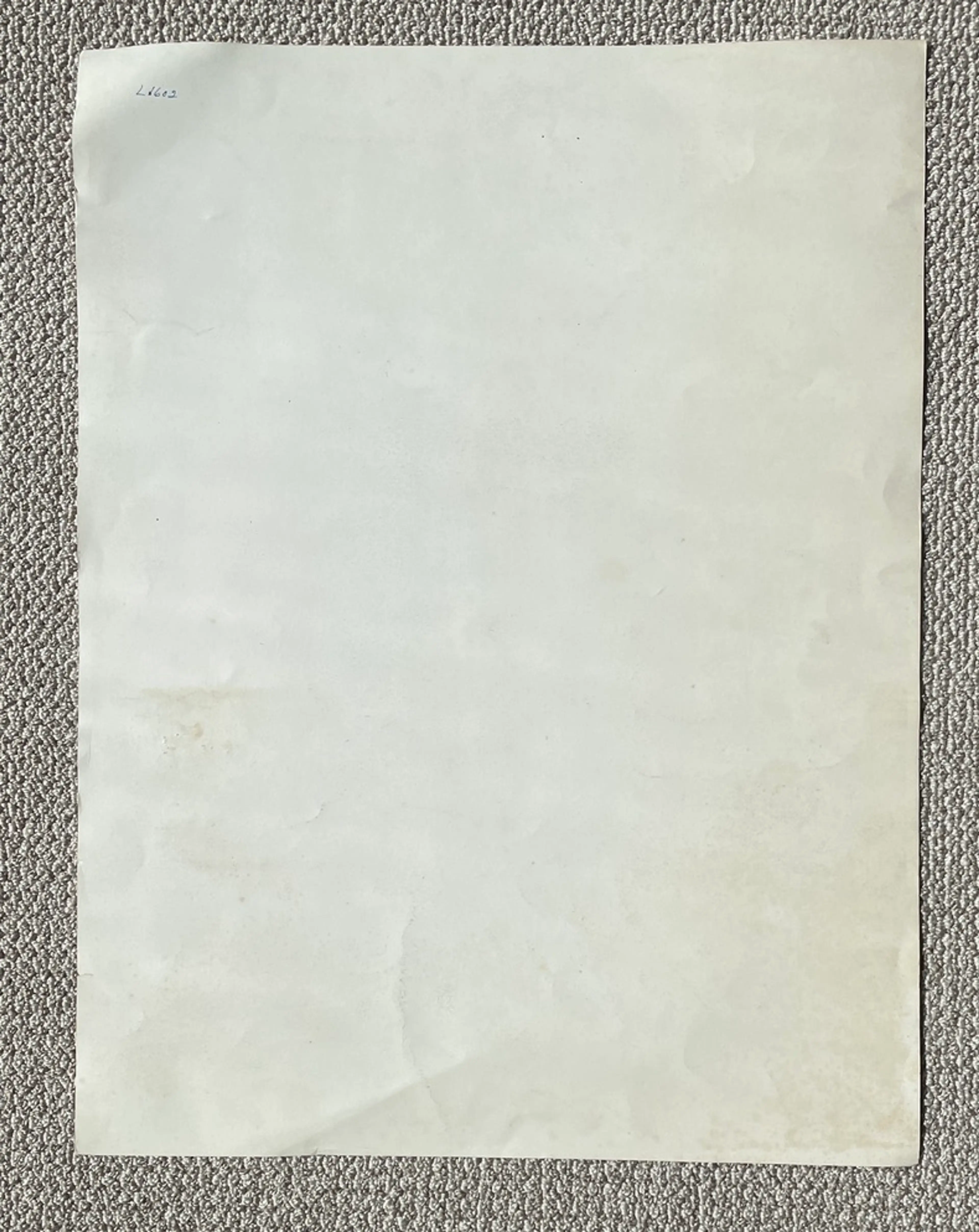Image 2 of 8