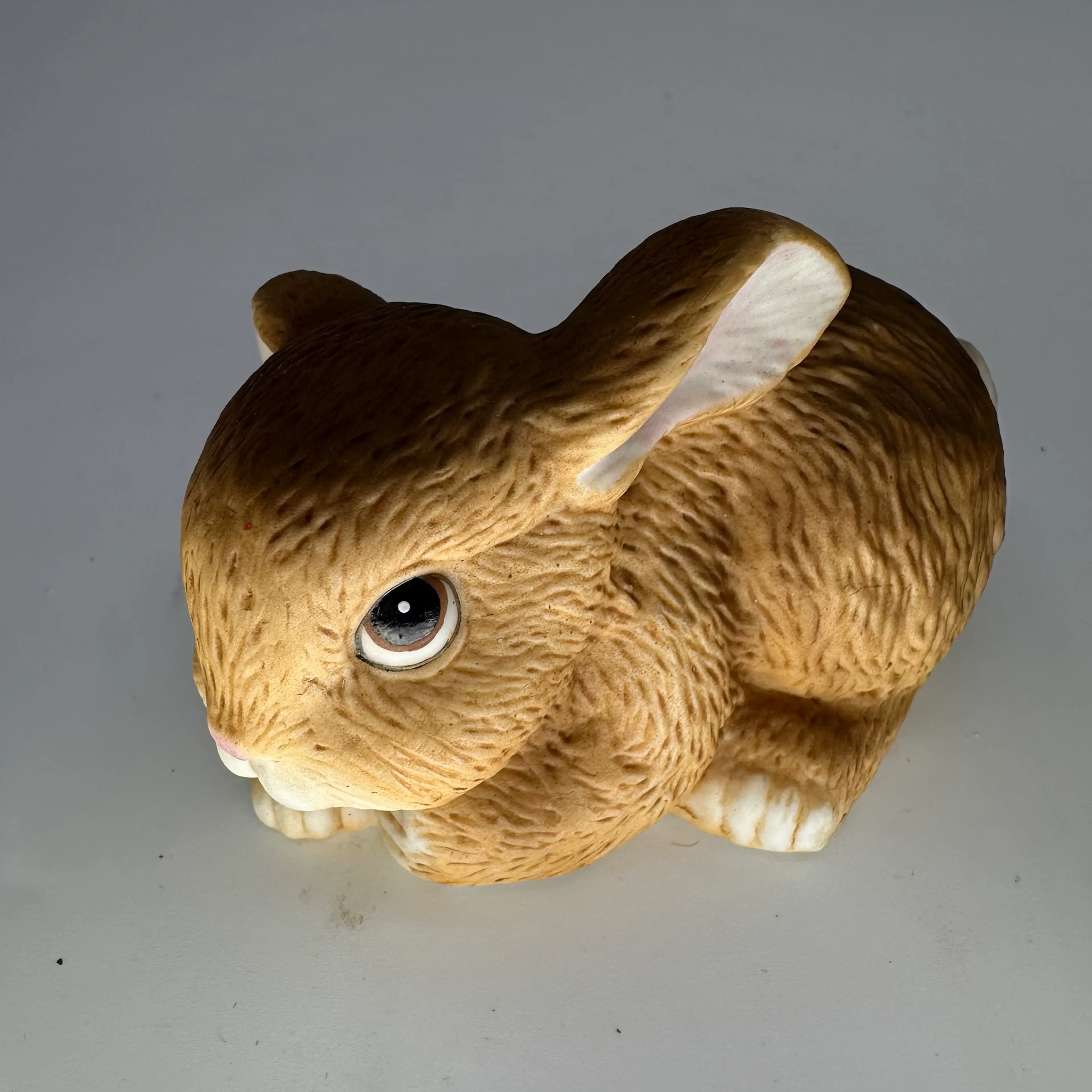 Image 2 of 5