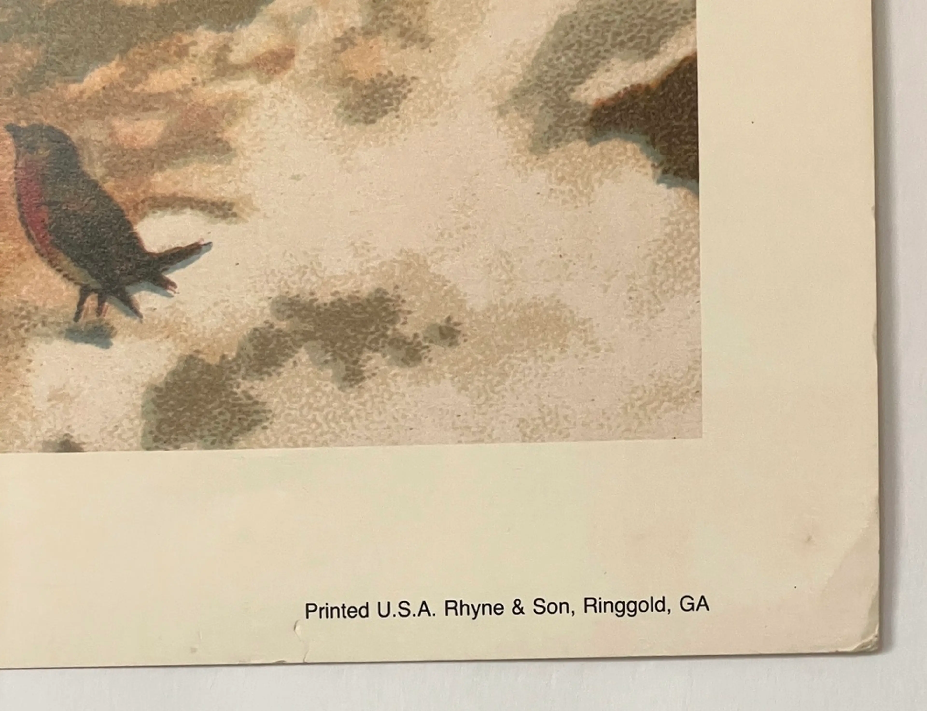 Image 3 of 13