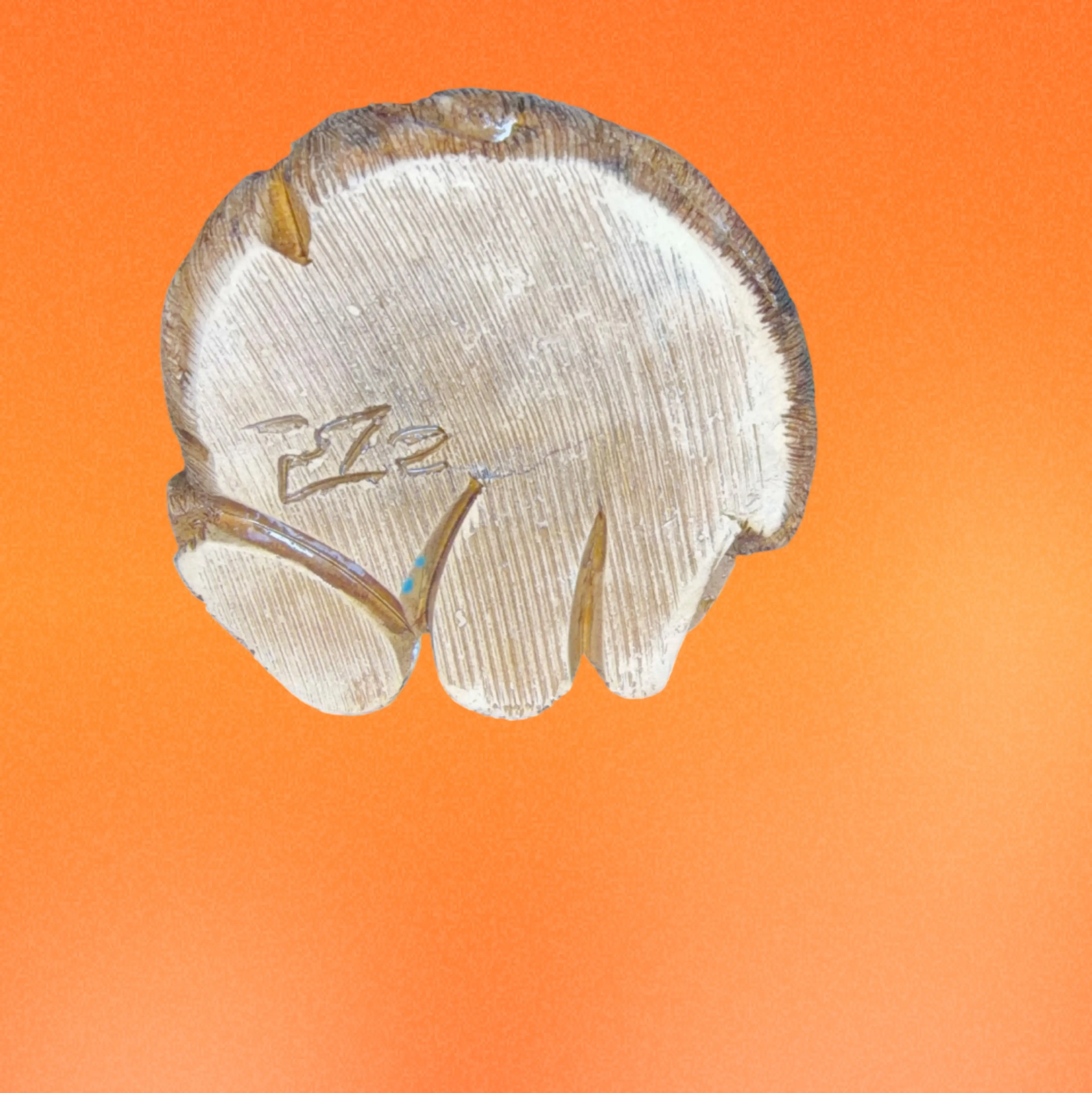 Image 5 of 5
