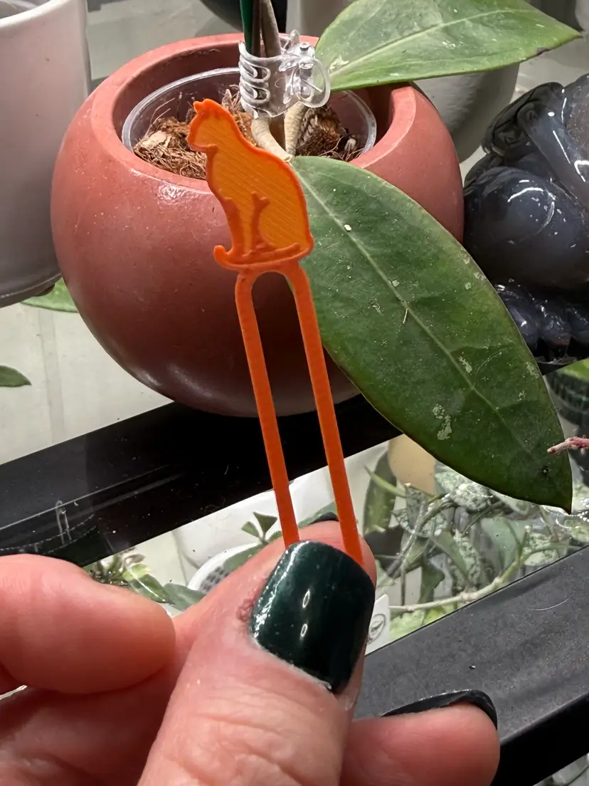 Propagation Pins -  Mangooooo Meow