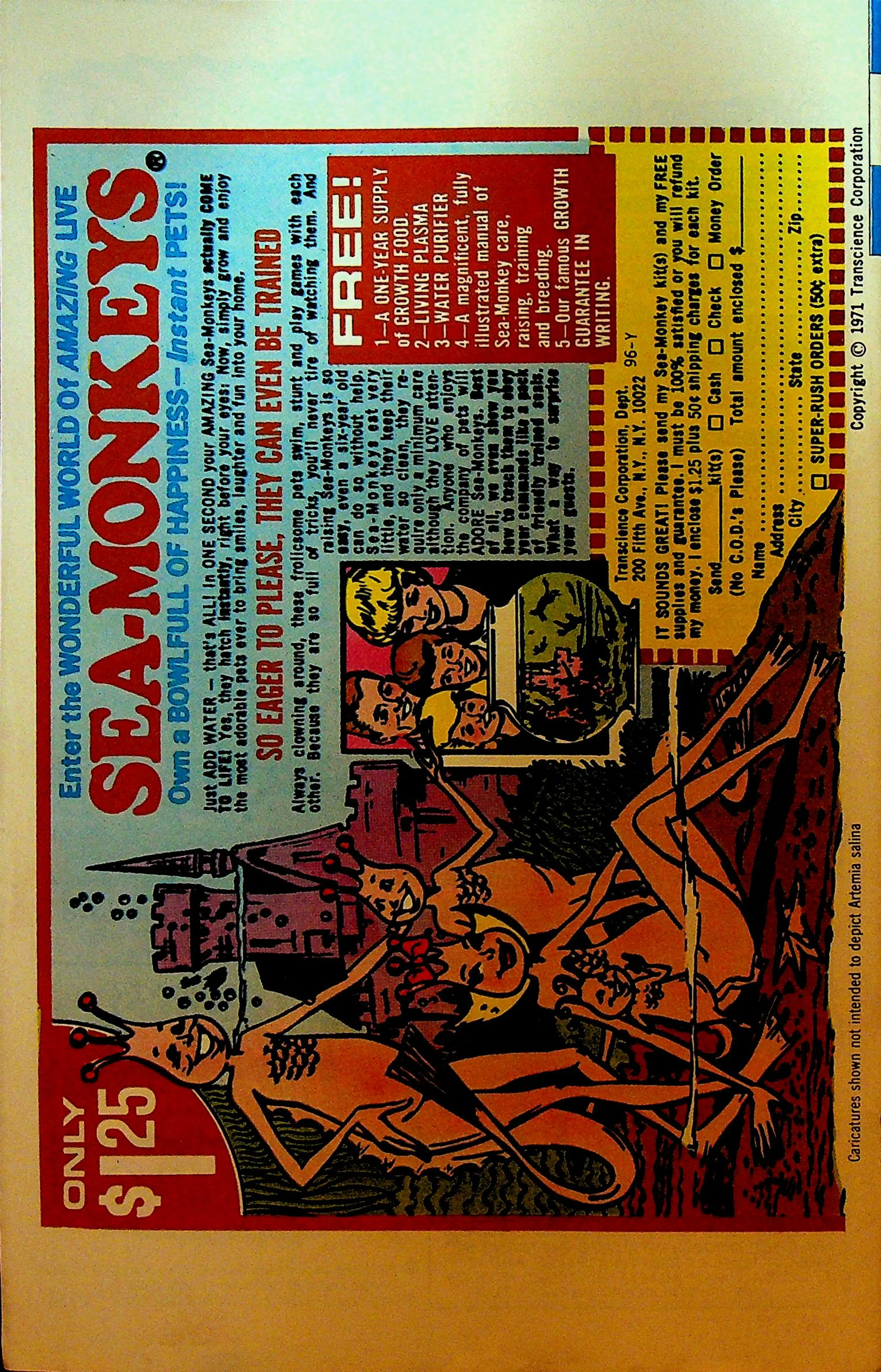 Image 2 of 2