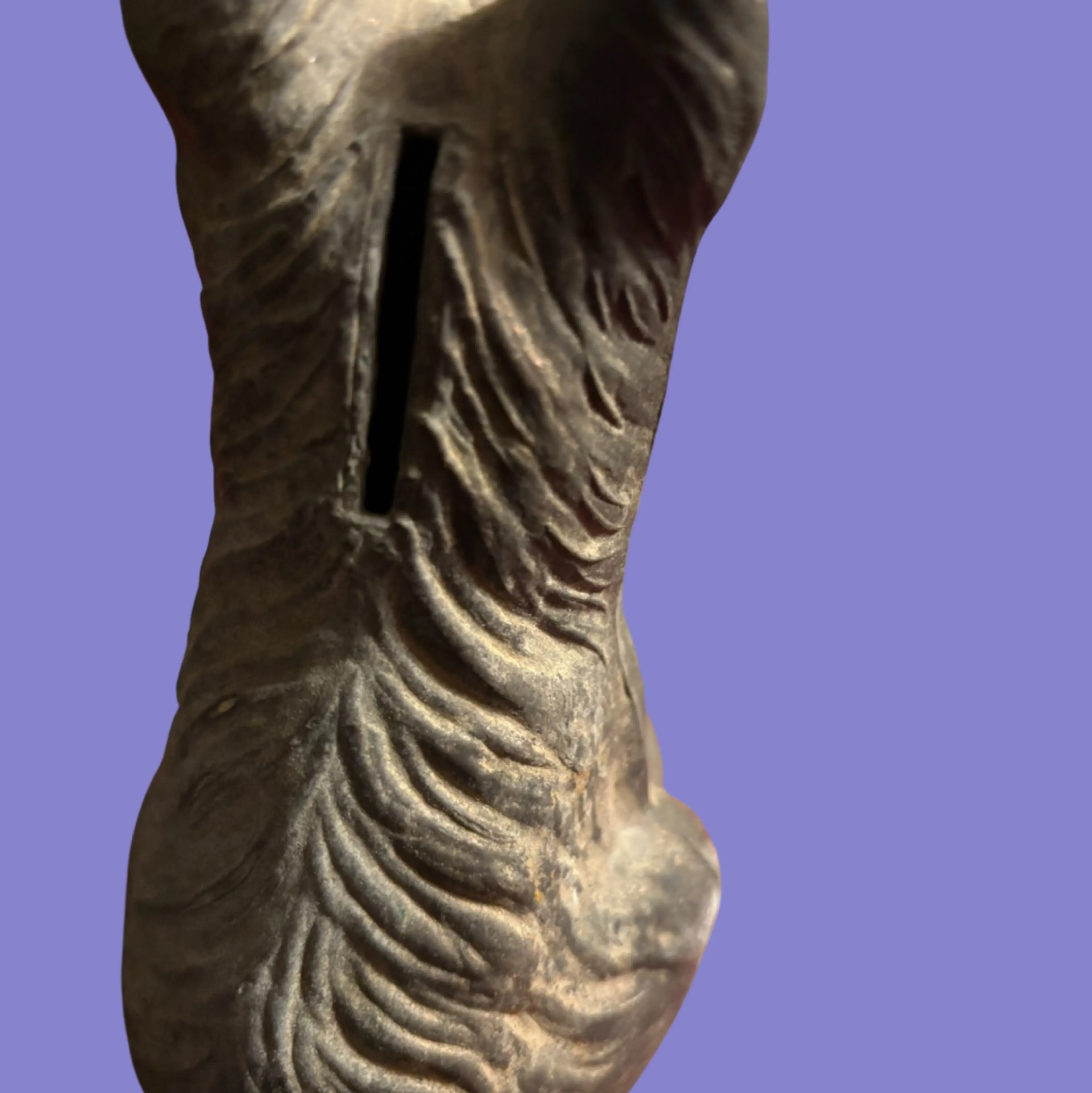 Image 2 of 5