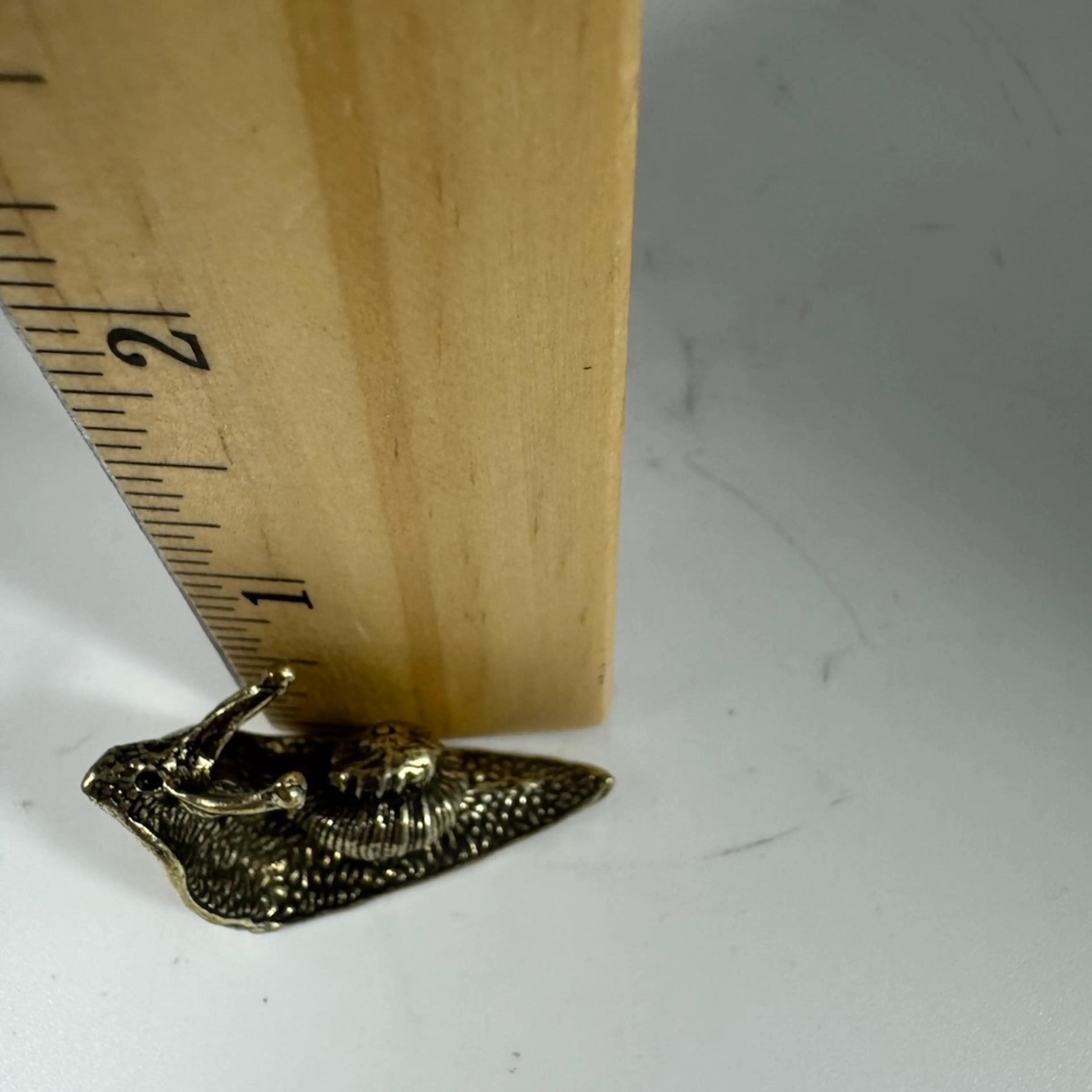 Image 5 of 5