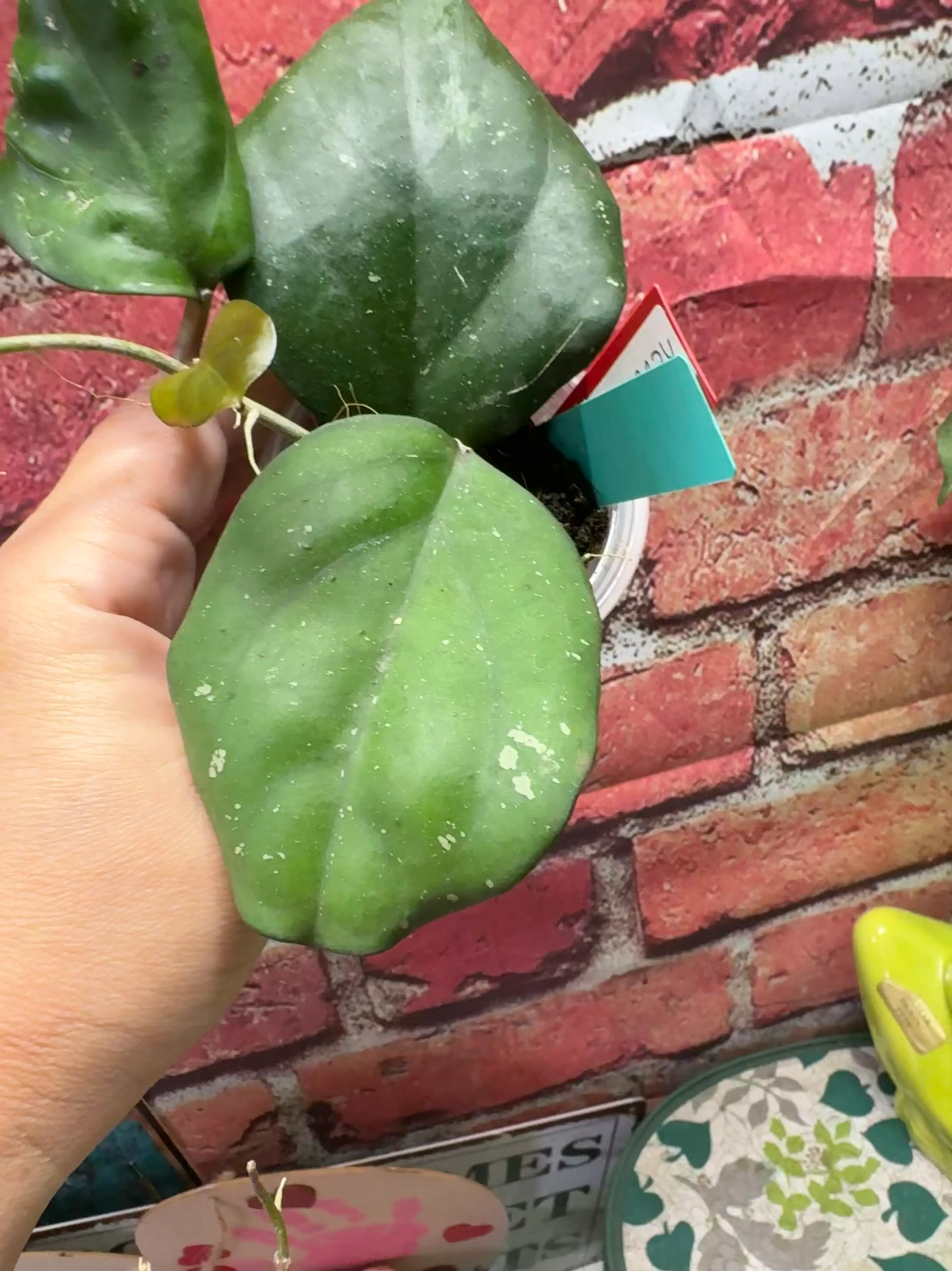 Video 1 of 1