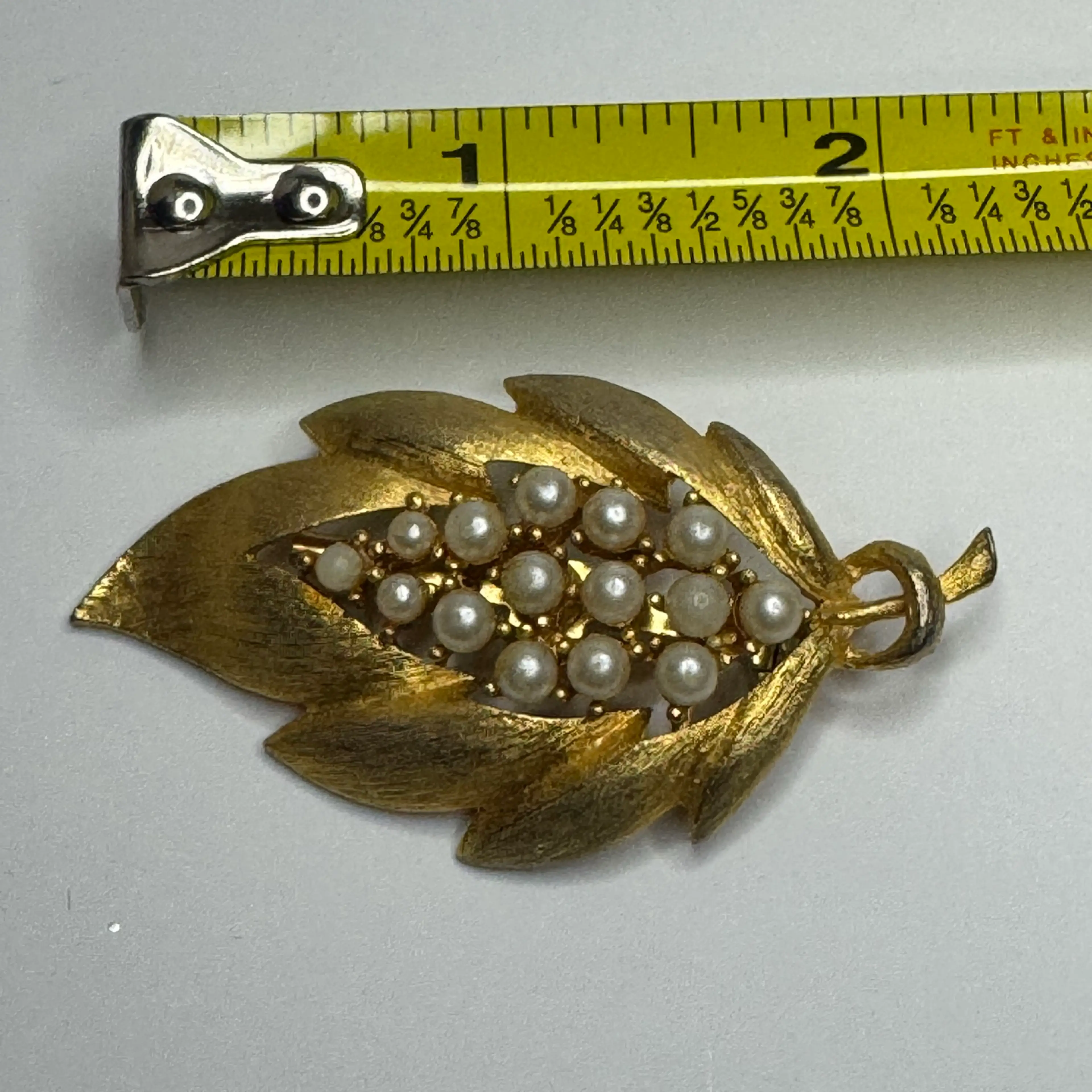 Image 5 of 5