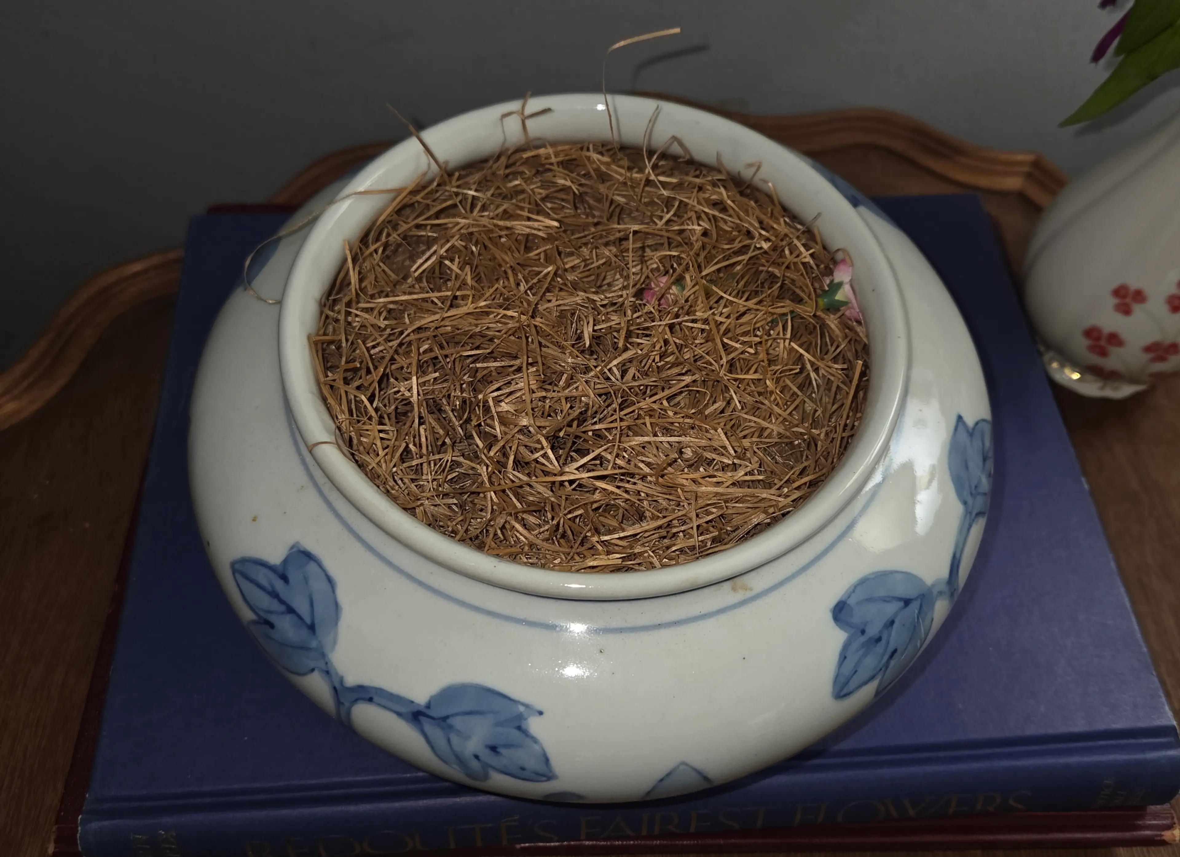 Image 4 of 5