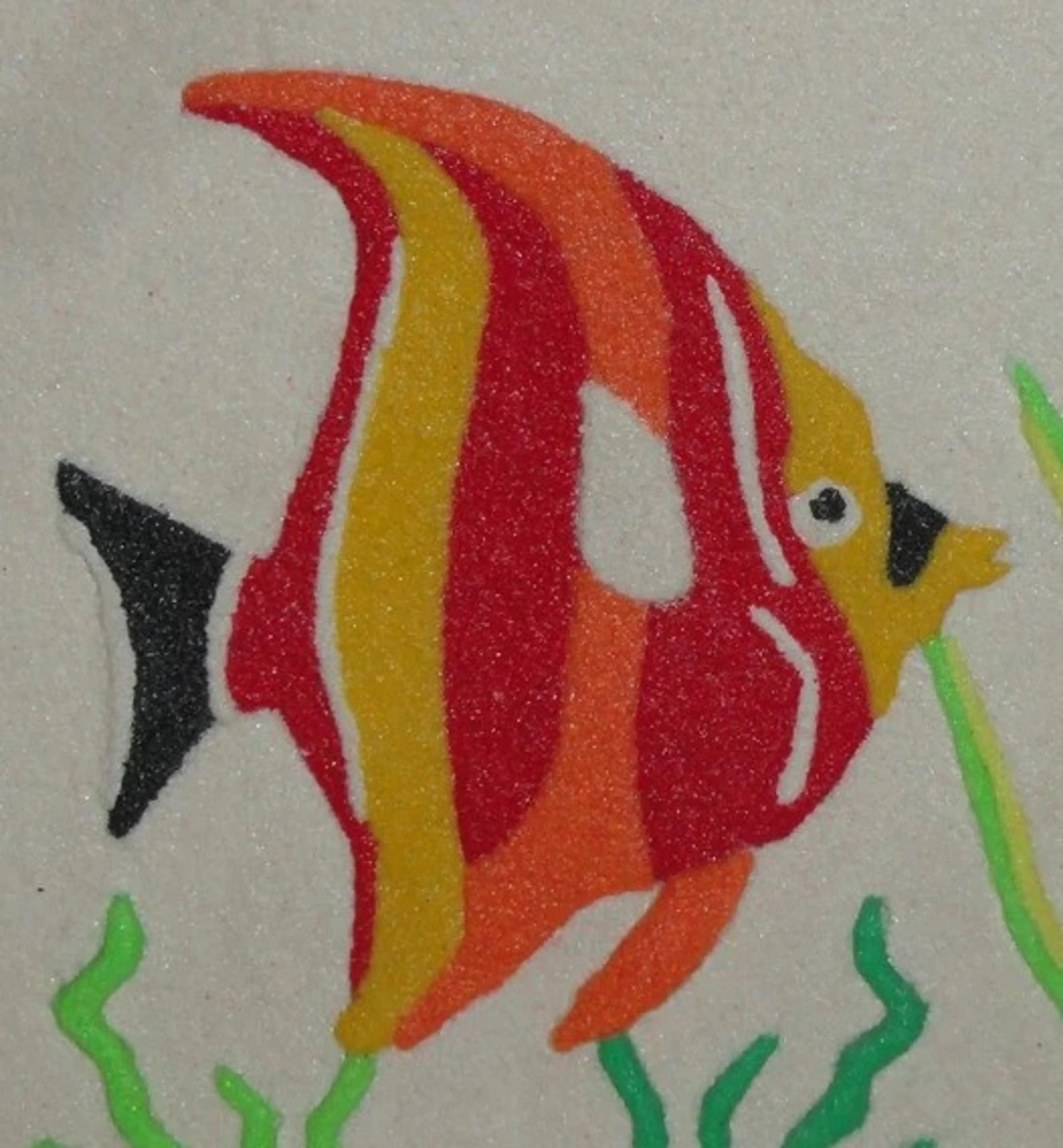 Image 2 of 6