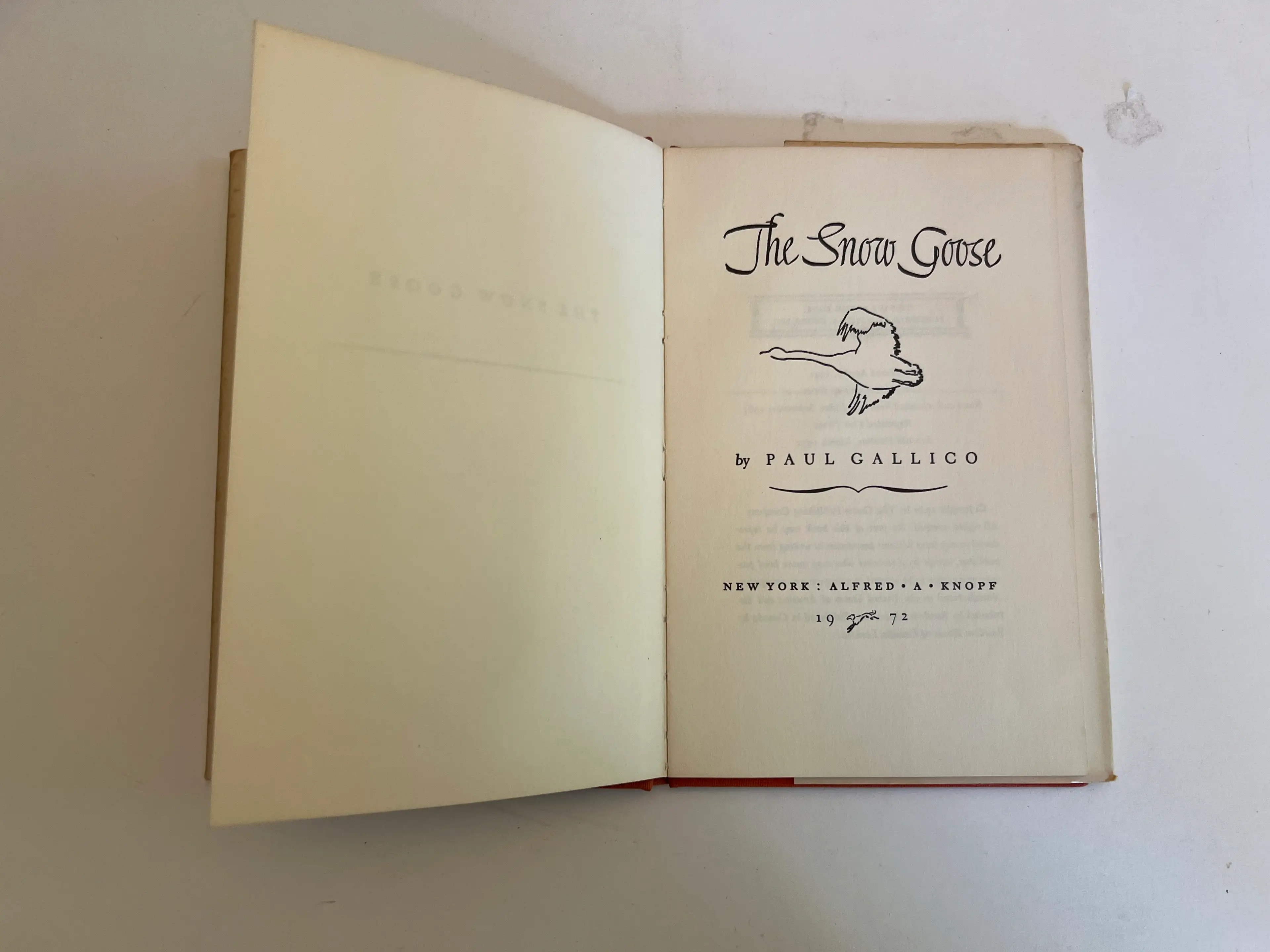 Image 2 of 9