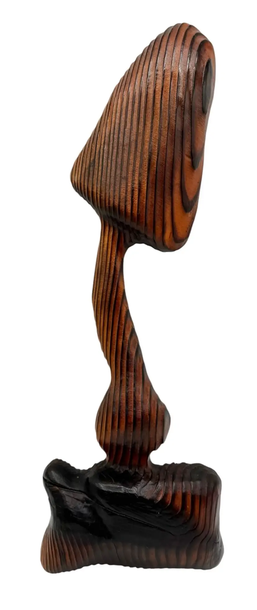 Vintage Cryptomeria Carved Burnt Wood Mushroom Wall Hanging Plaque Mid Century