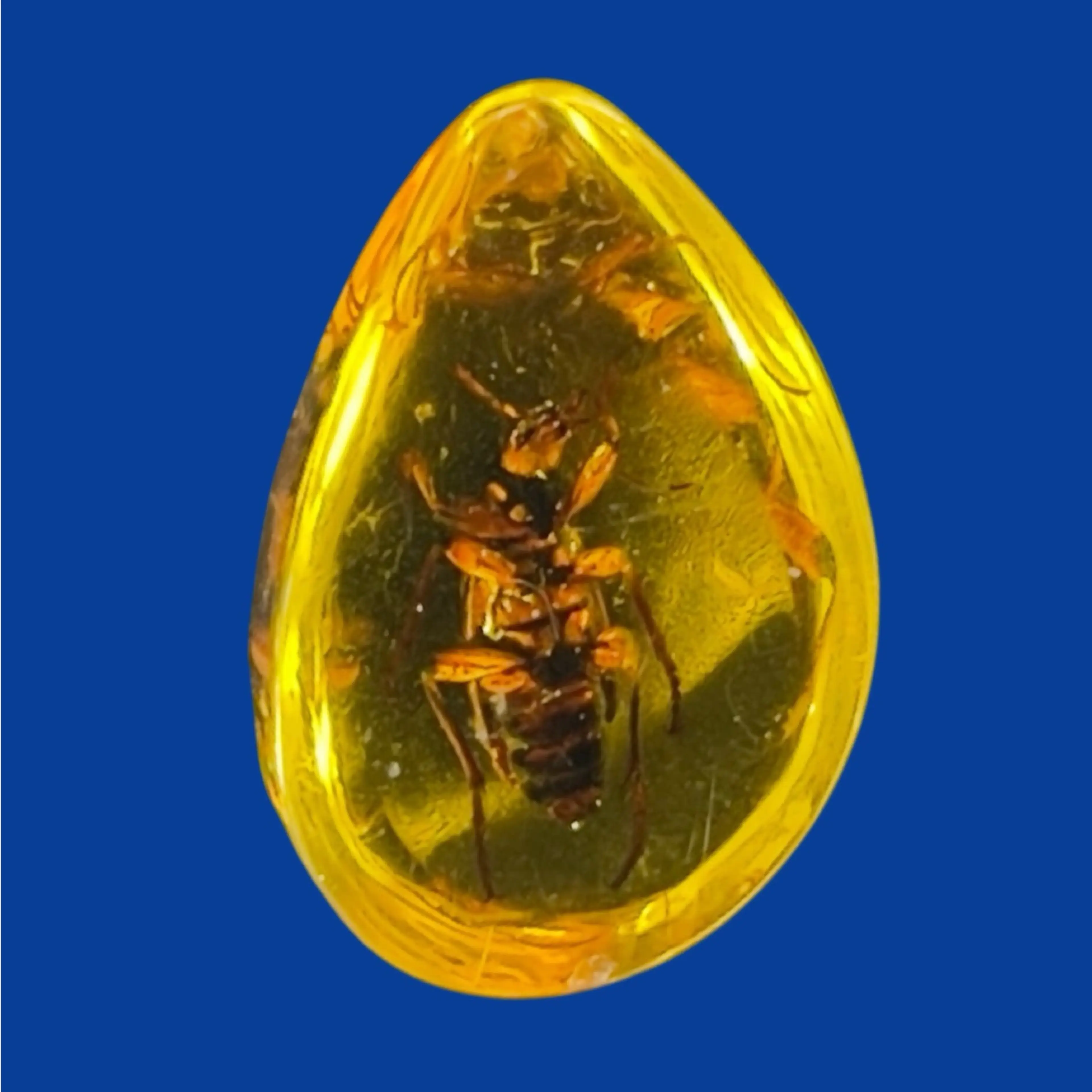 Image 2 of 13