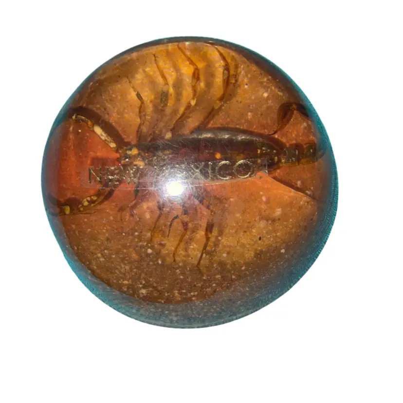 #26…..New Mexico scorpion in resin paperweight