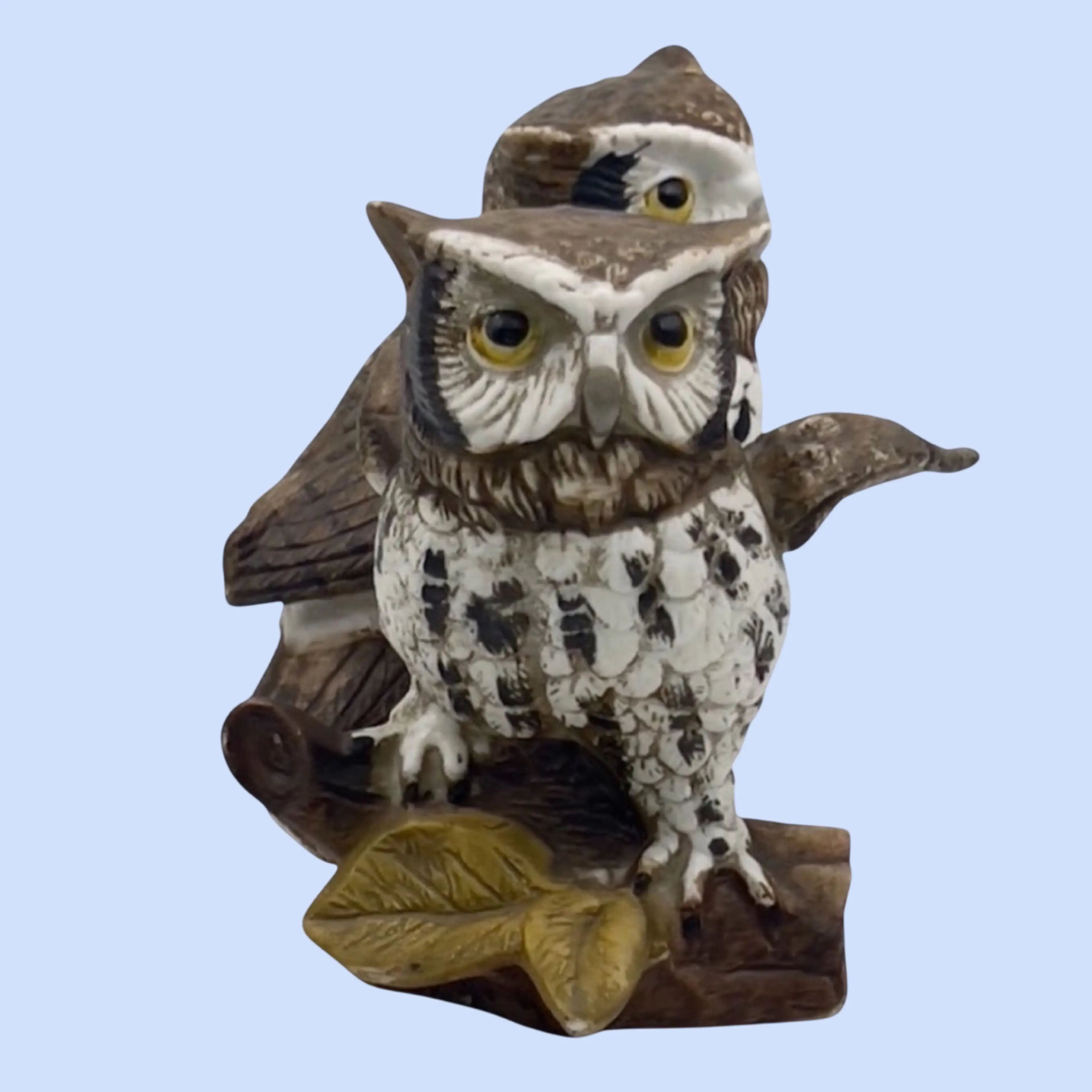 Image 4 of 6