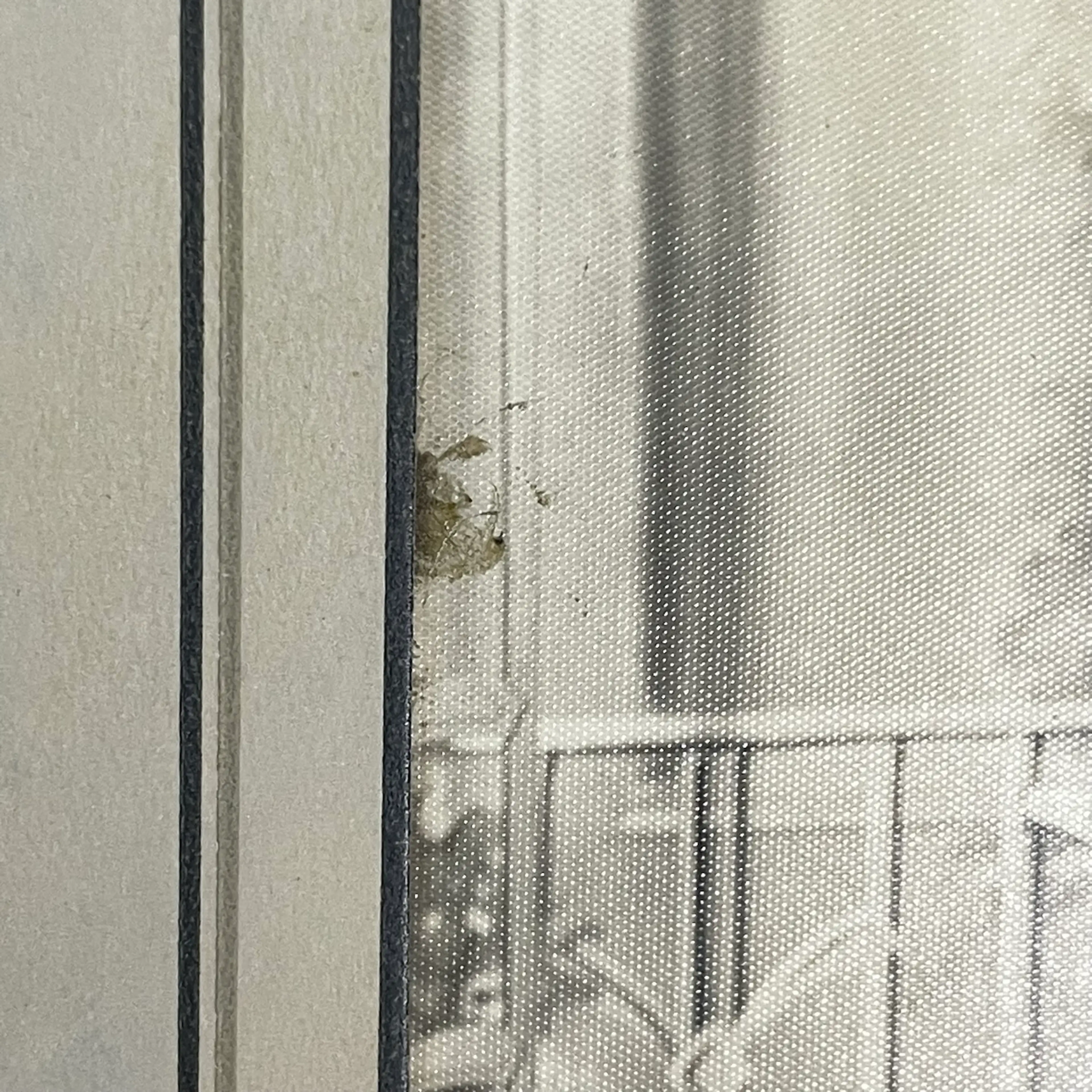 Image 5 of 8