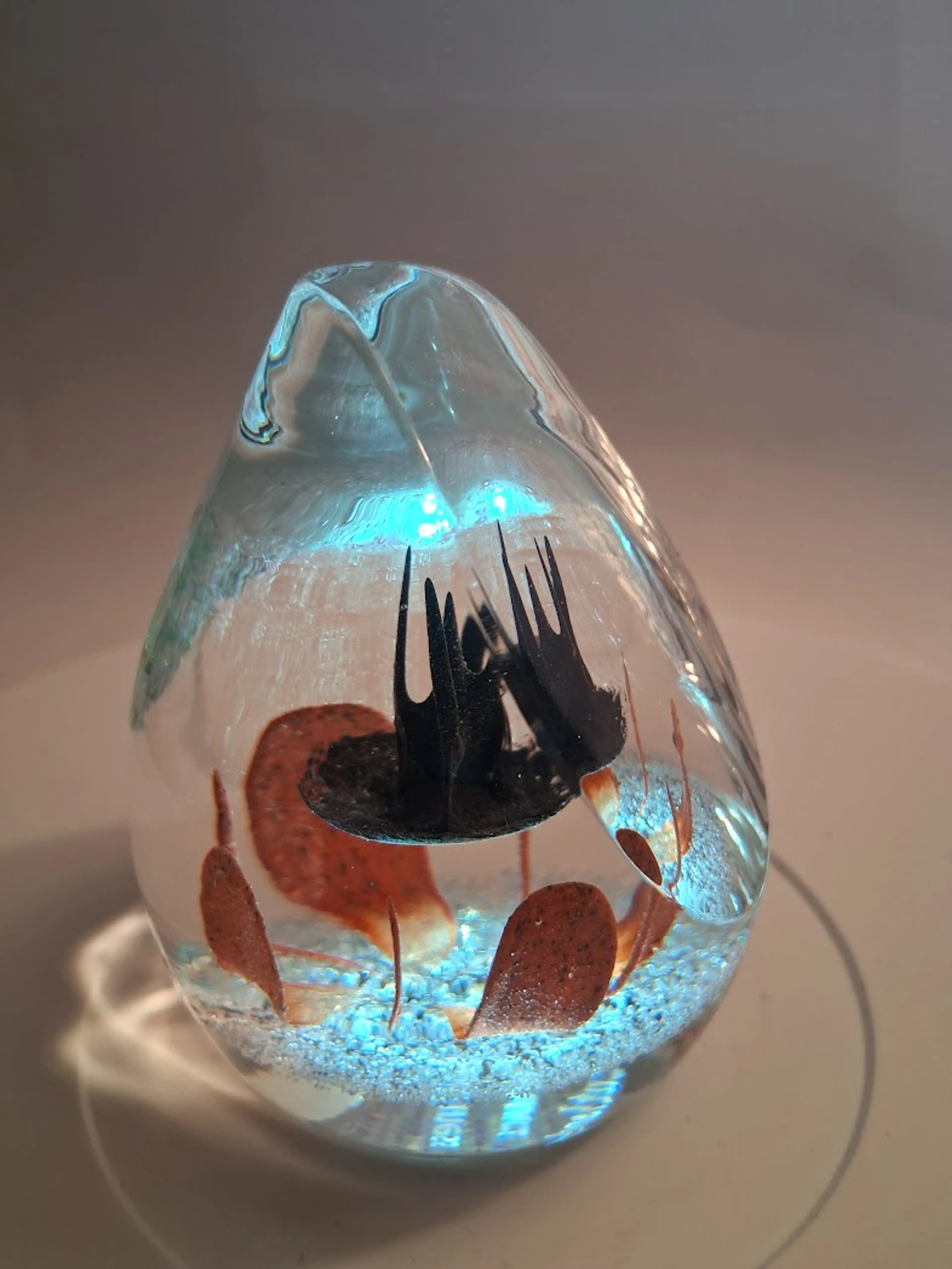 Image 3 of 8