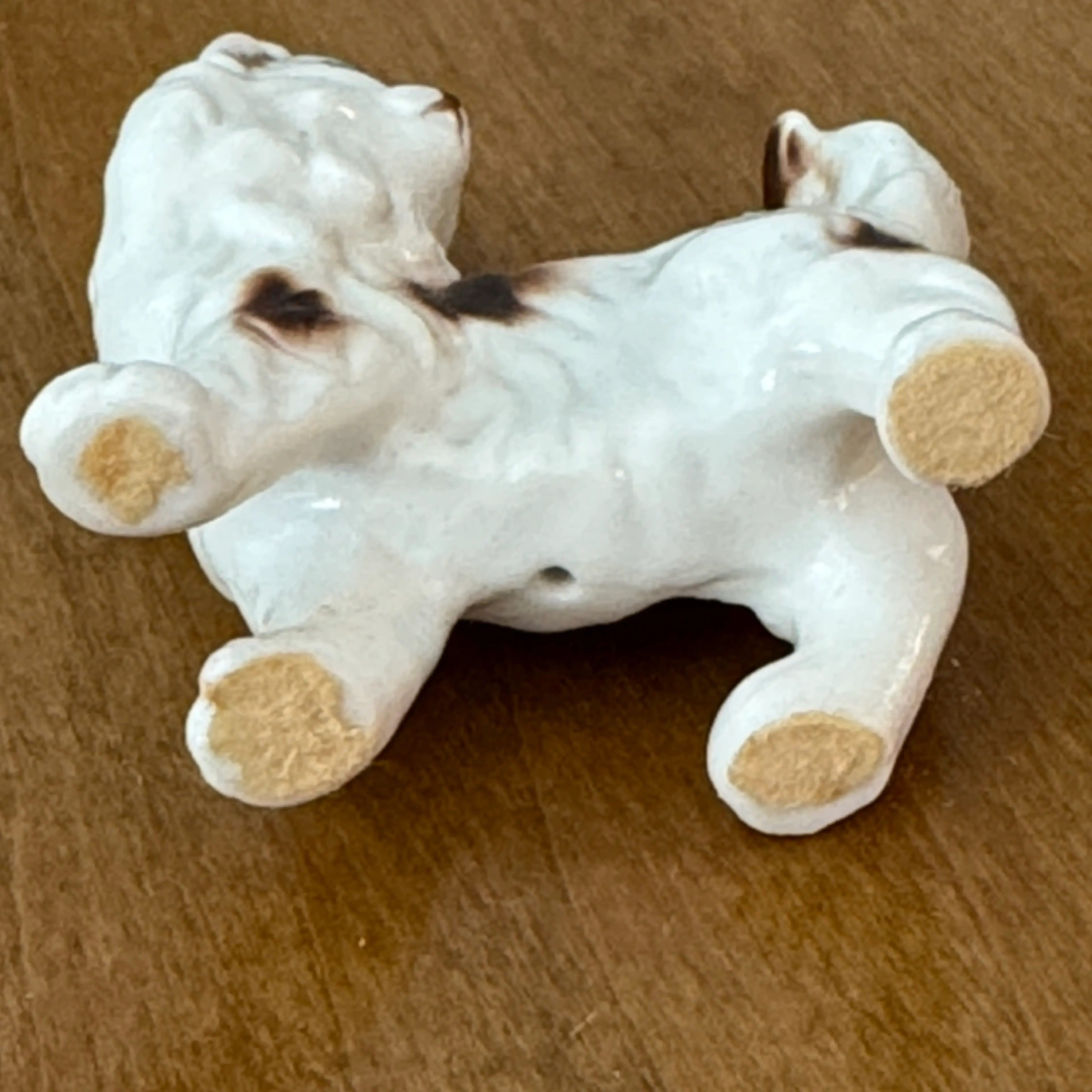 Image 5 of 6