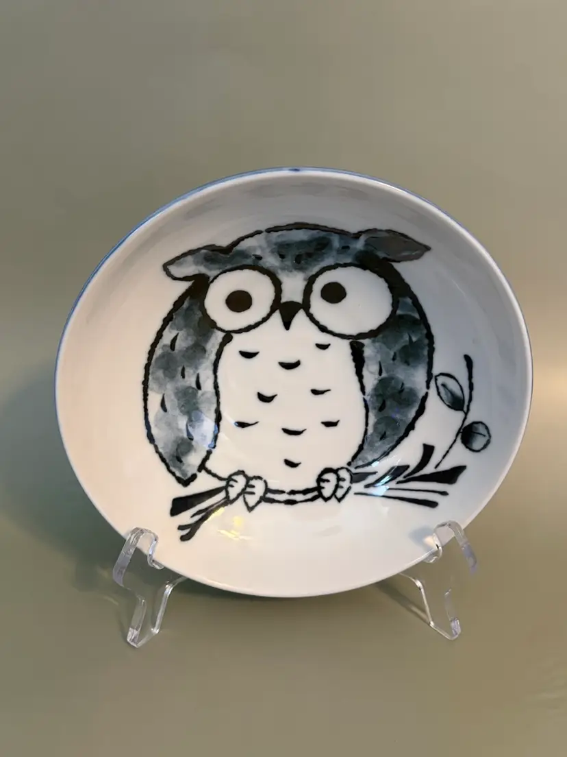 Vintage Hand Painted “Lucky Owl “ 7” Serving Bowl-Japan