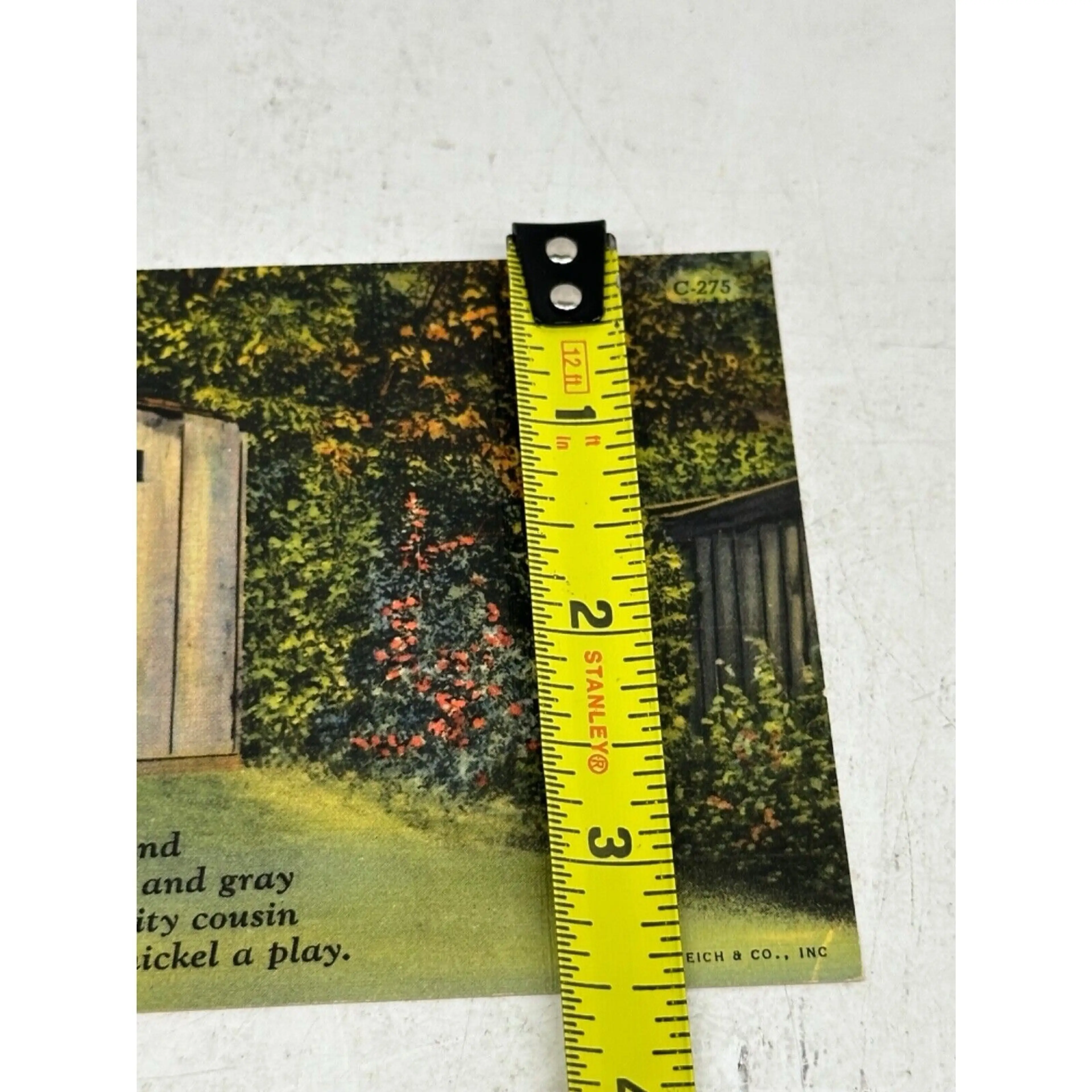 Image 4 of 5