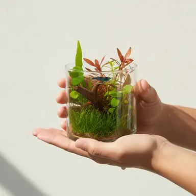 Aquarium Marketplace Live: Huge Giveaway Event!