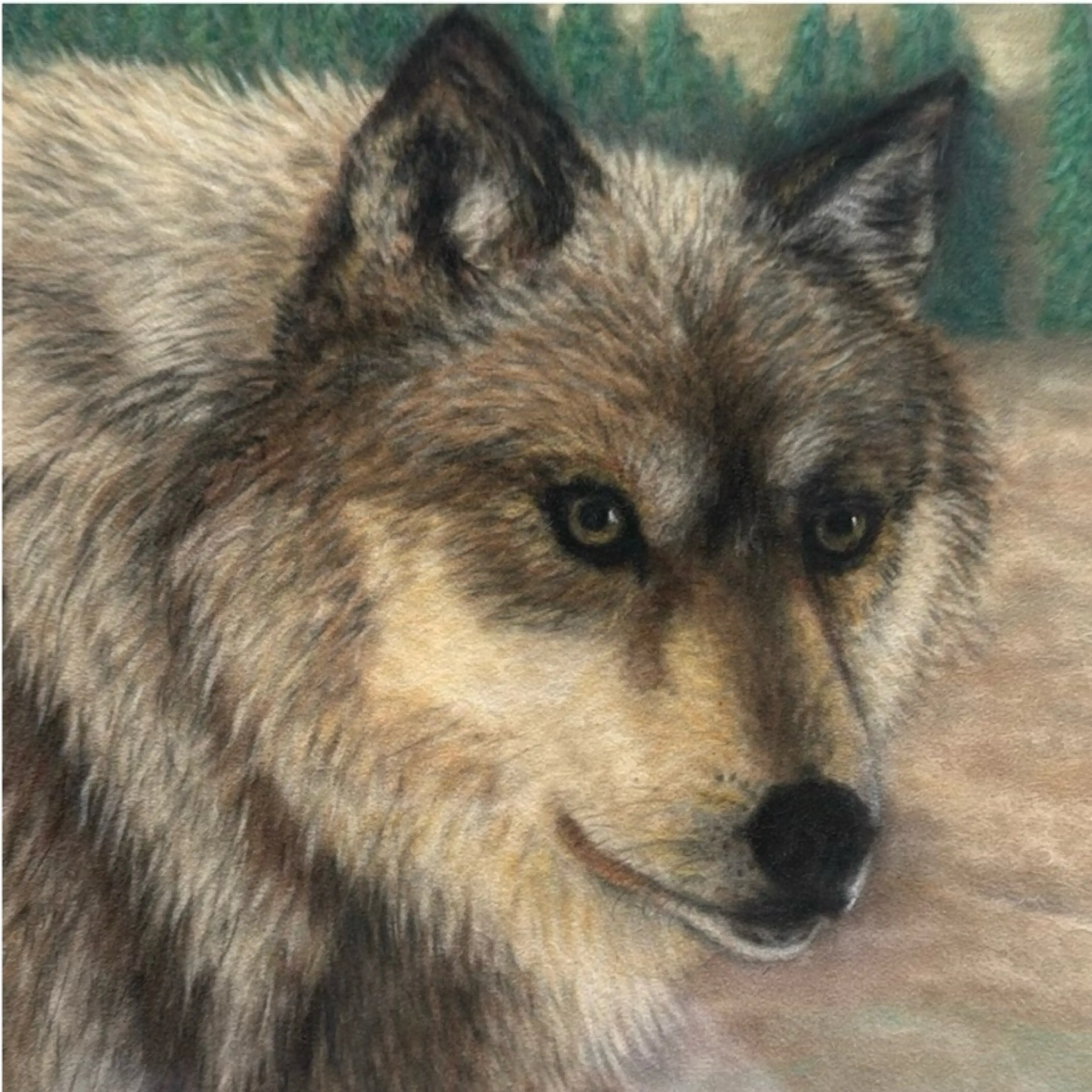 Image 4 of 5