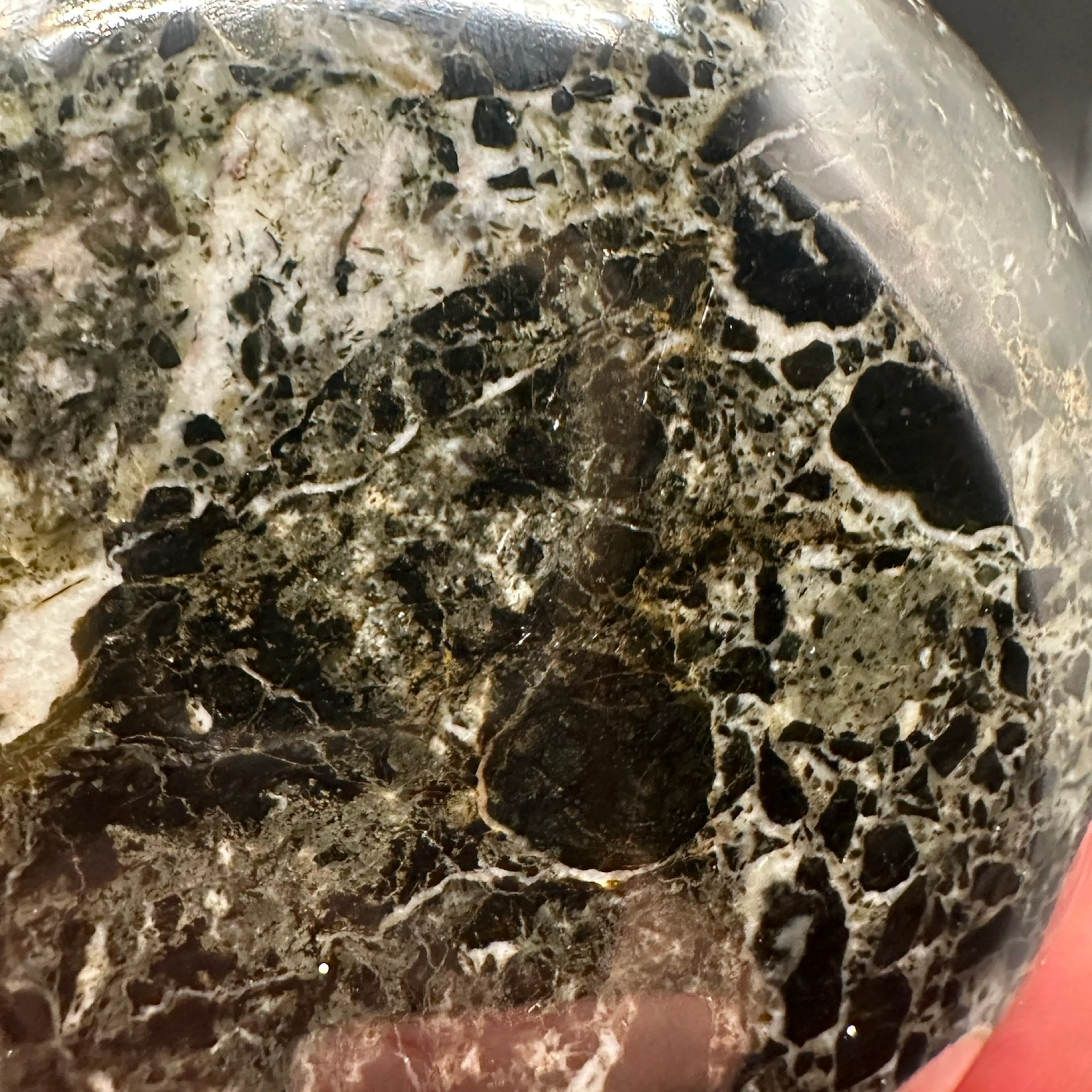 Image 4 of 5