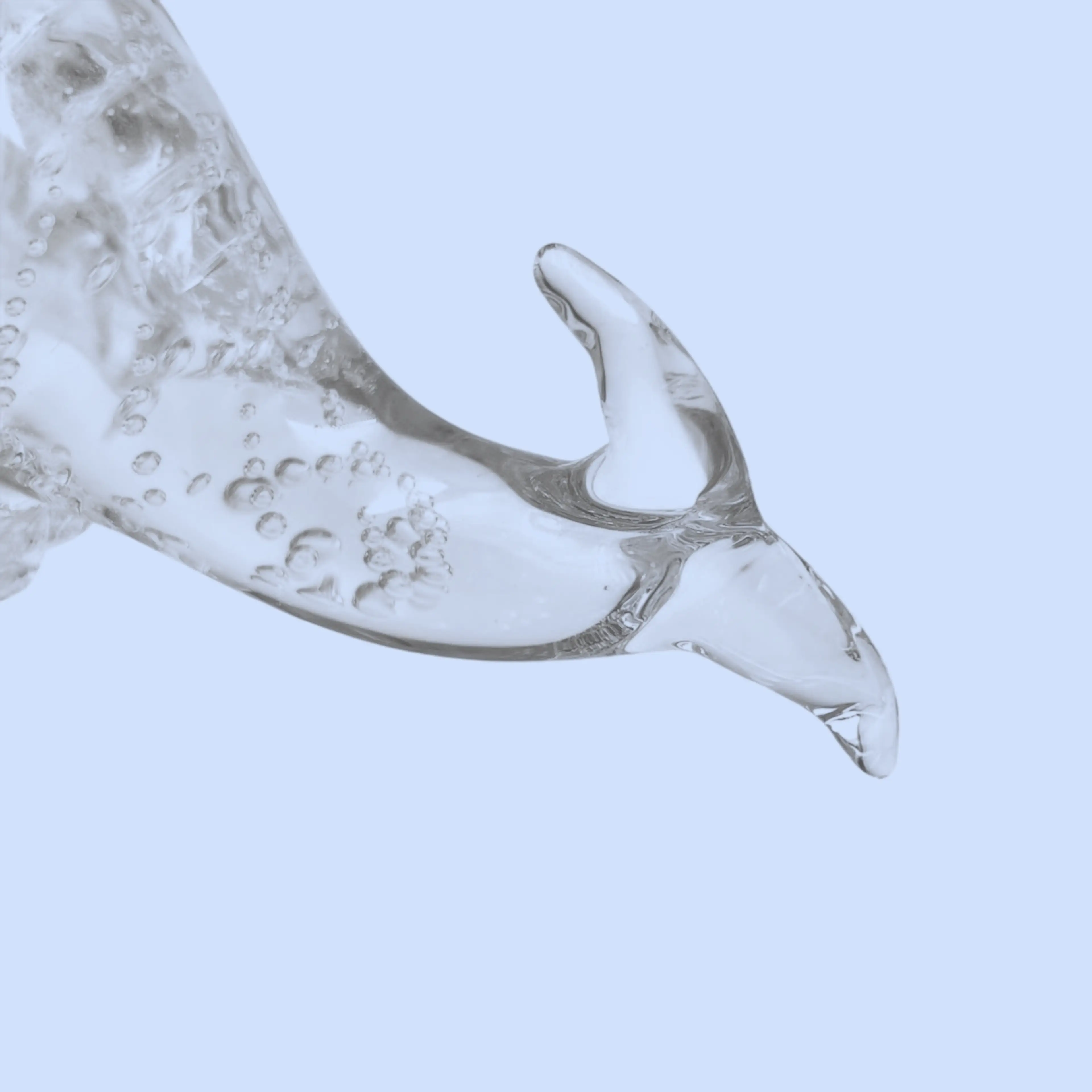 Image 5 of 7