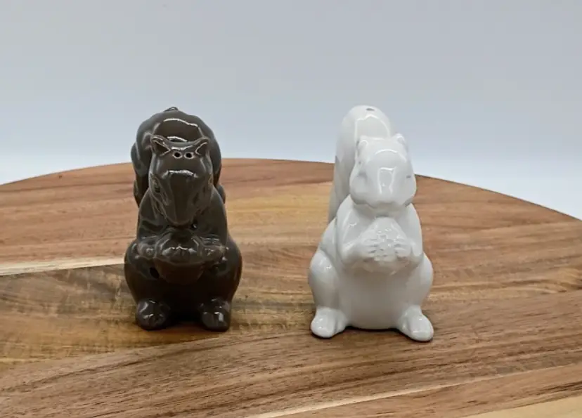 Target Wondershop Fall Dark Brown and White Ceramic Squirrel with Nut Salt and Pepper Shakers
