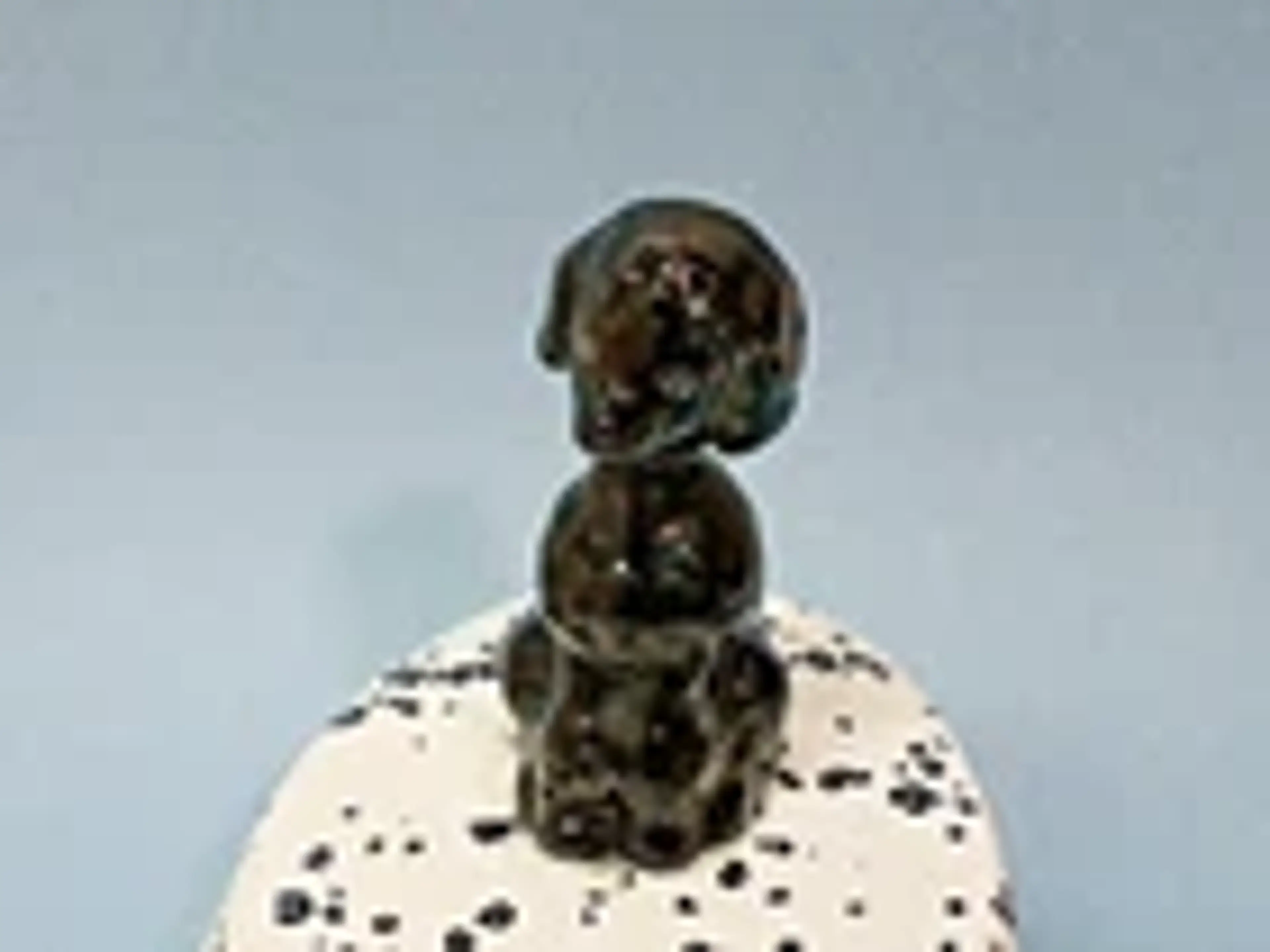 Image 2 of 15
