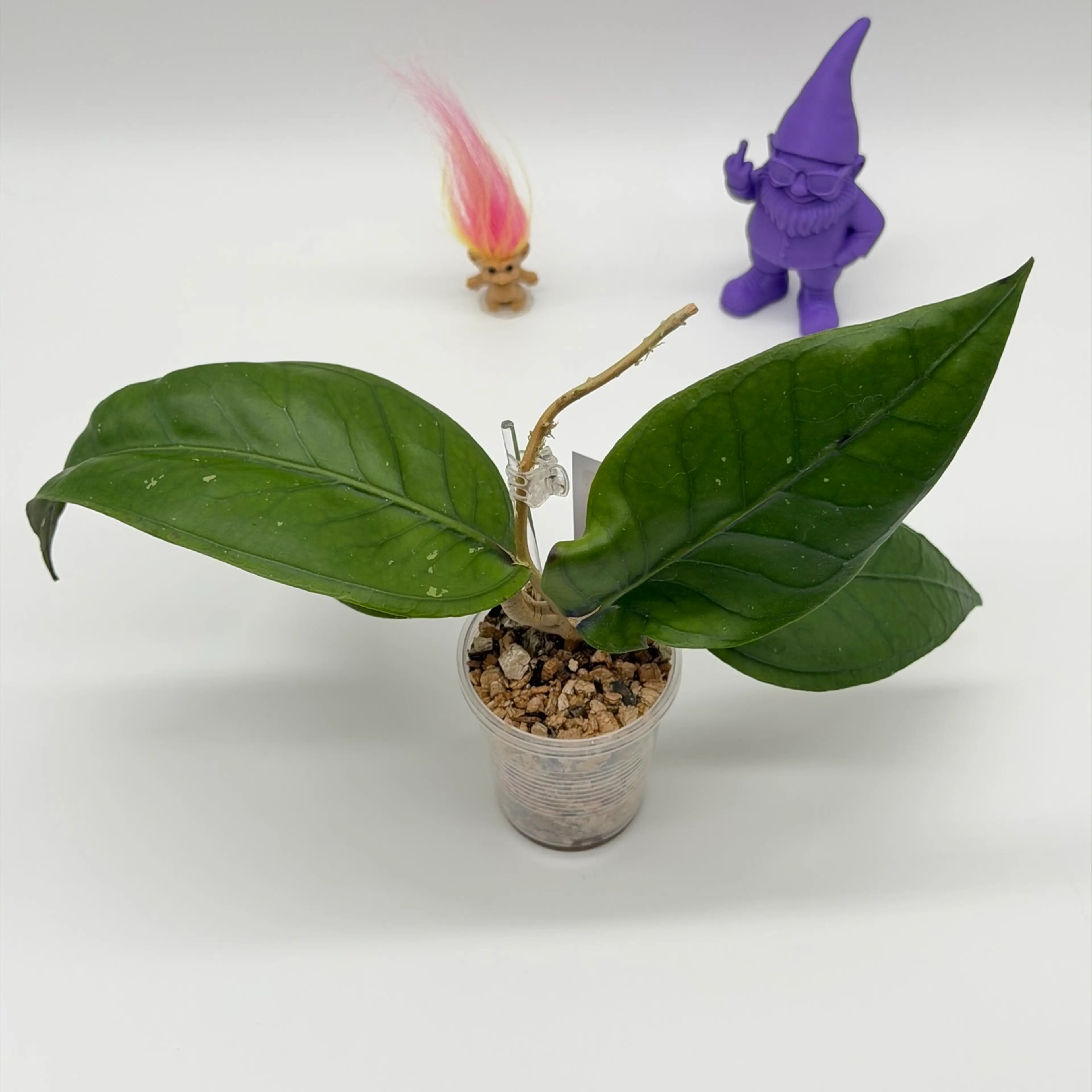 Image 2 of 4