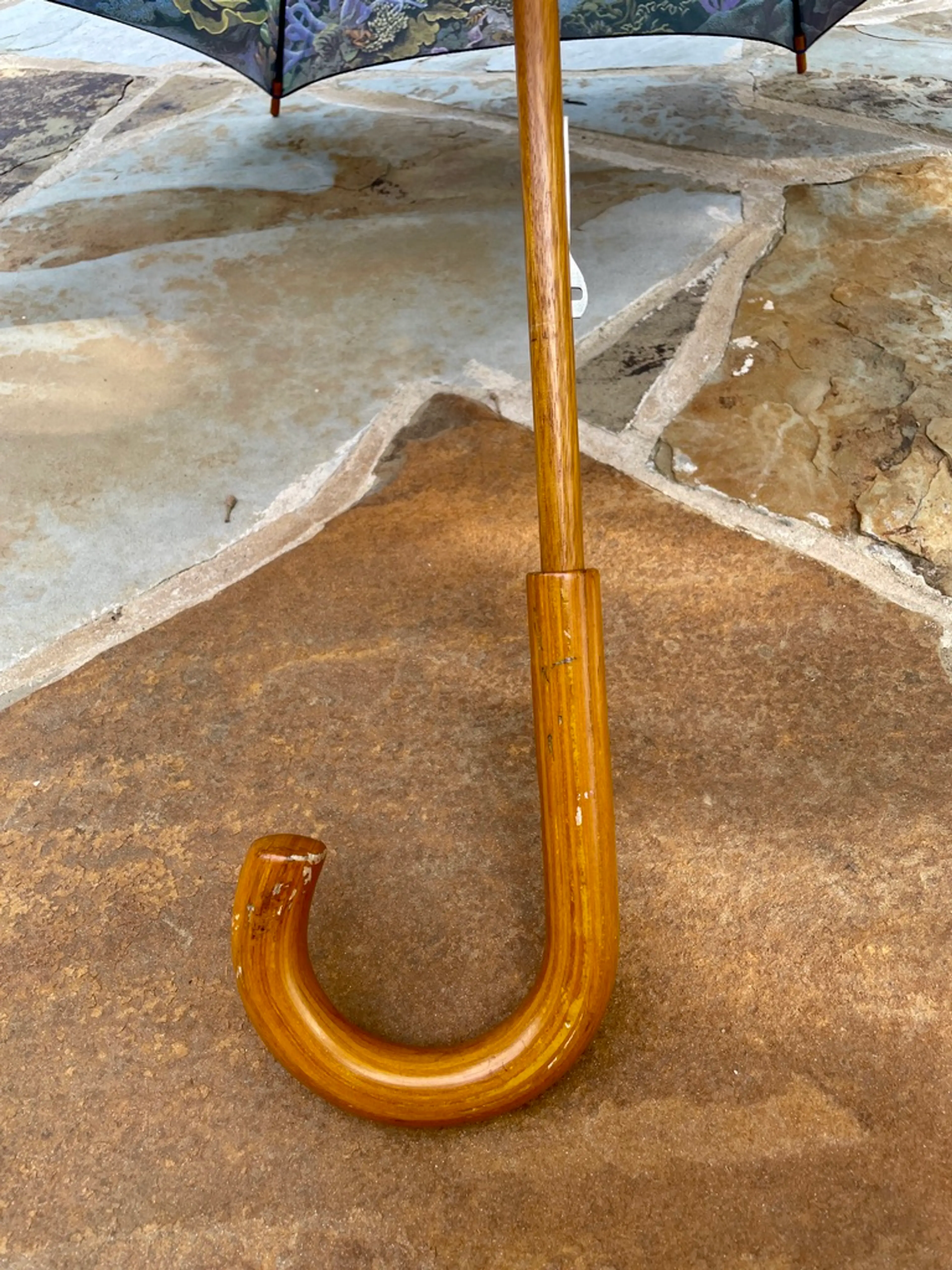 Image 4 of 10