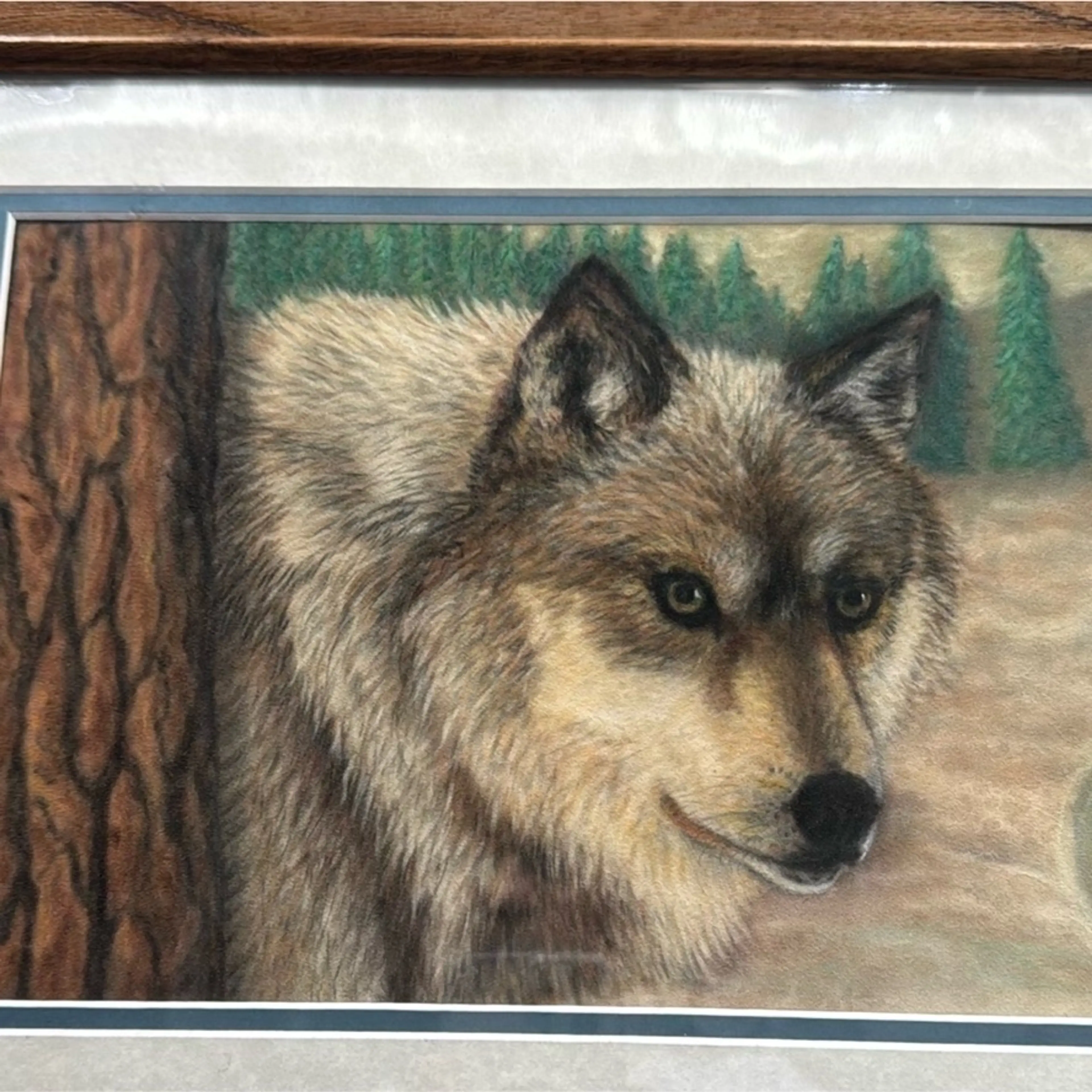Image 5 of 5