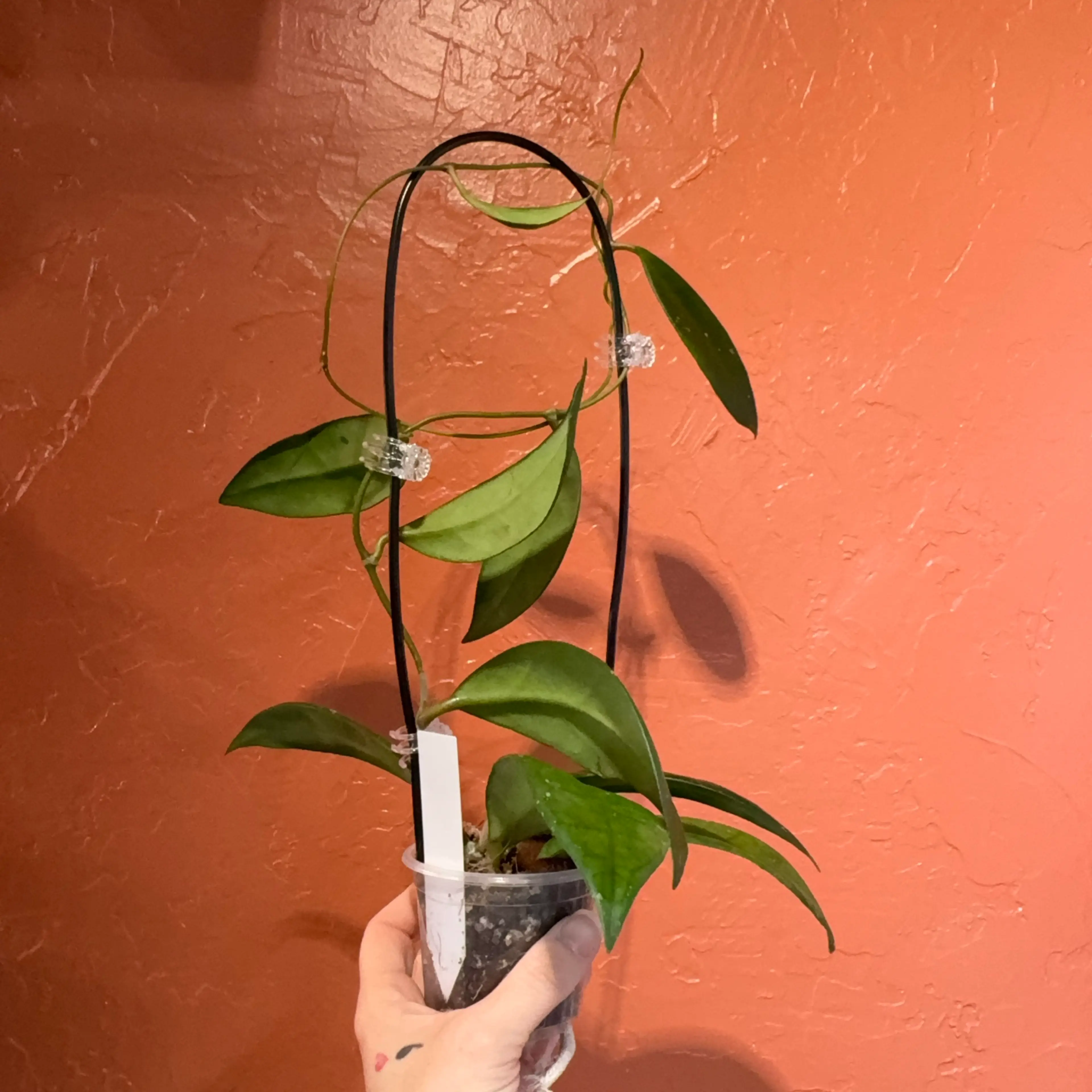 Image 3 of 3