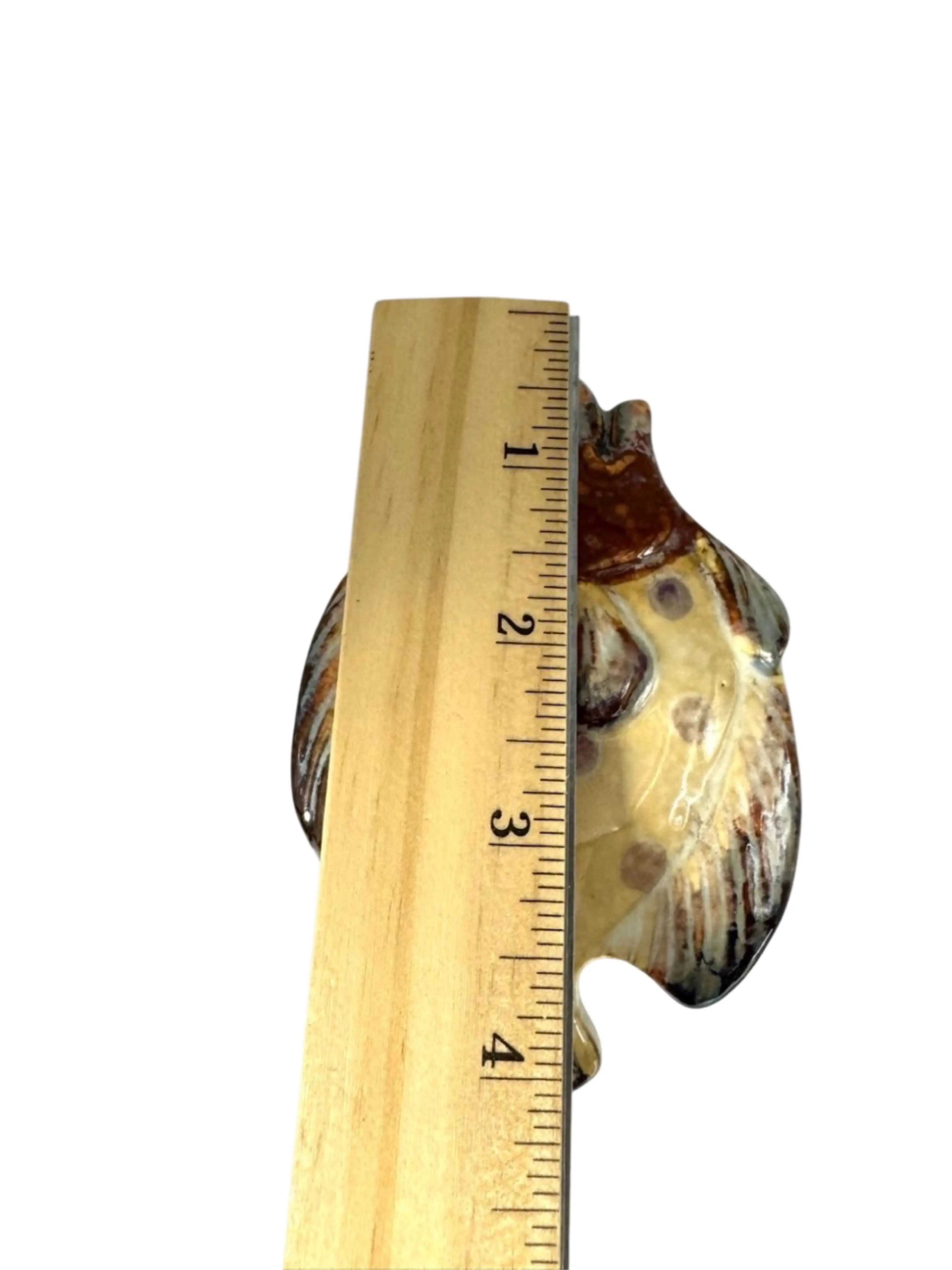 Image 5 of 5