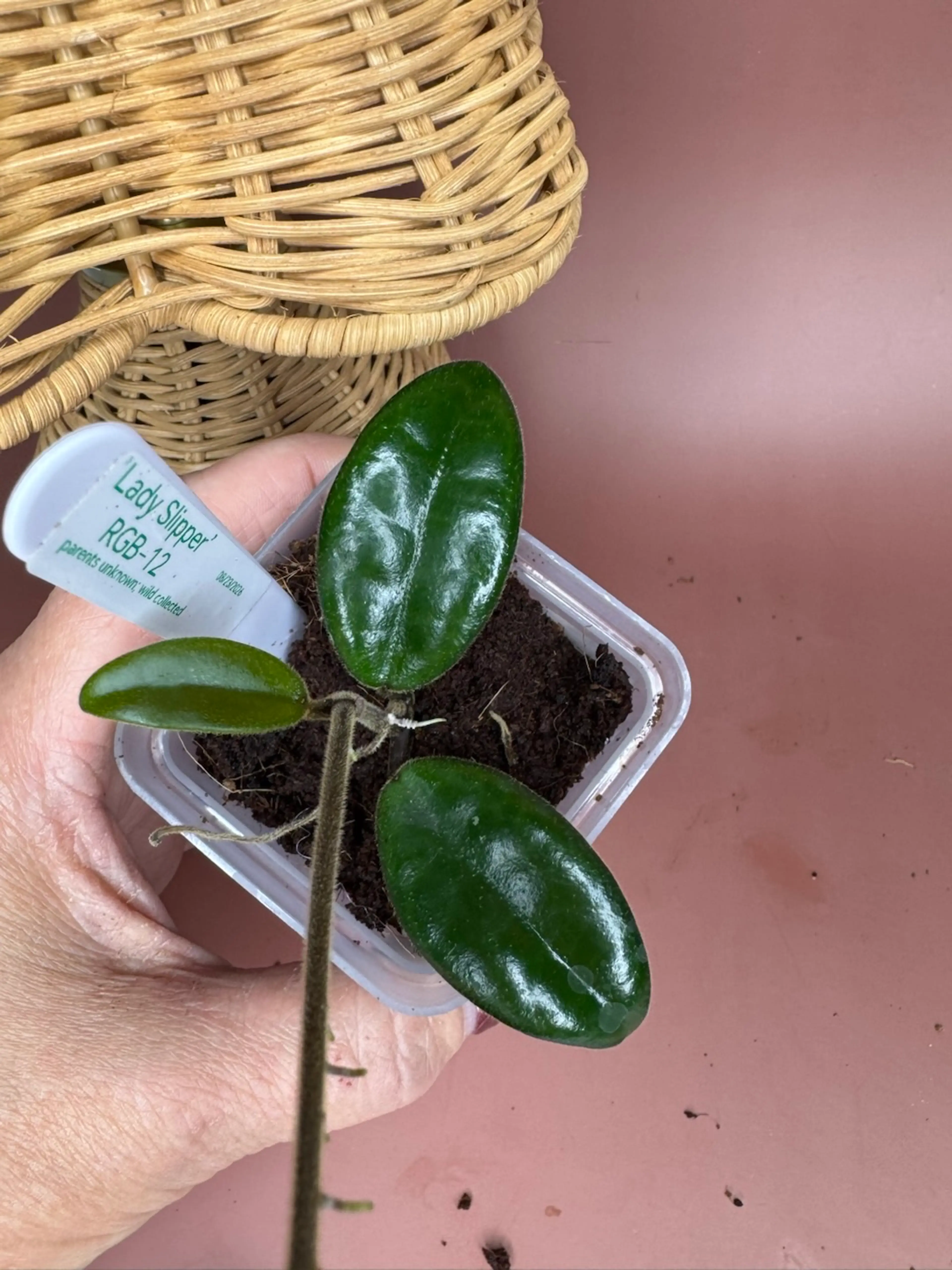 Image 1 of 2
