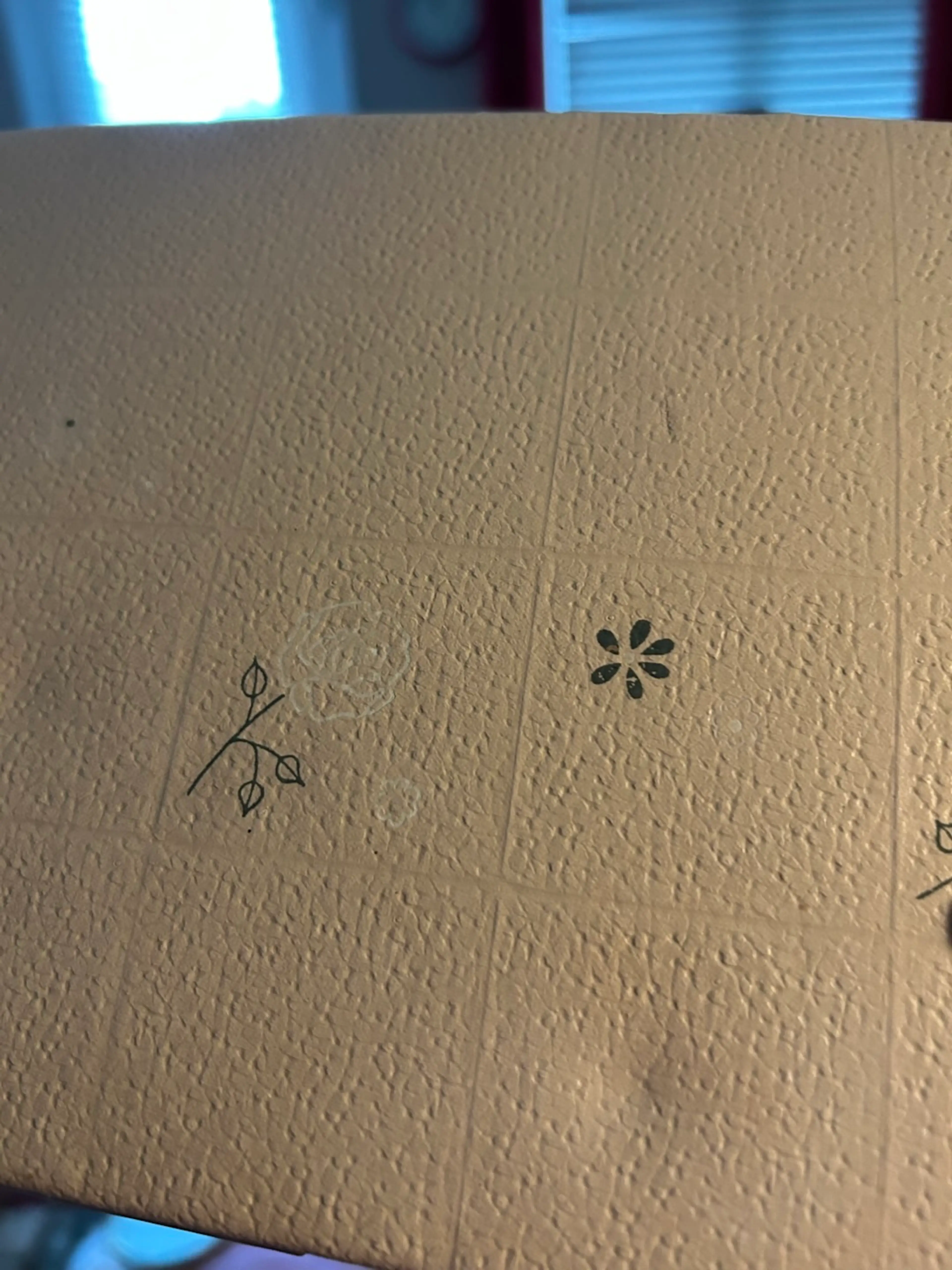 Image 5 of 10