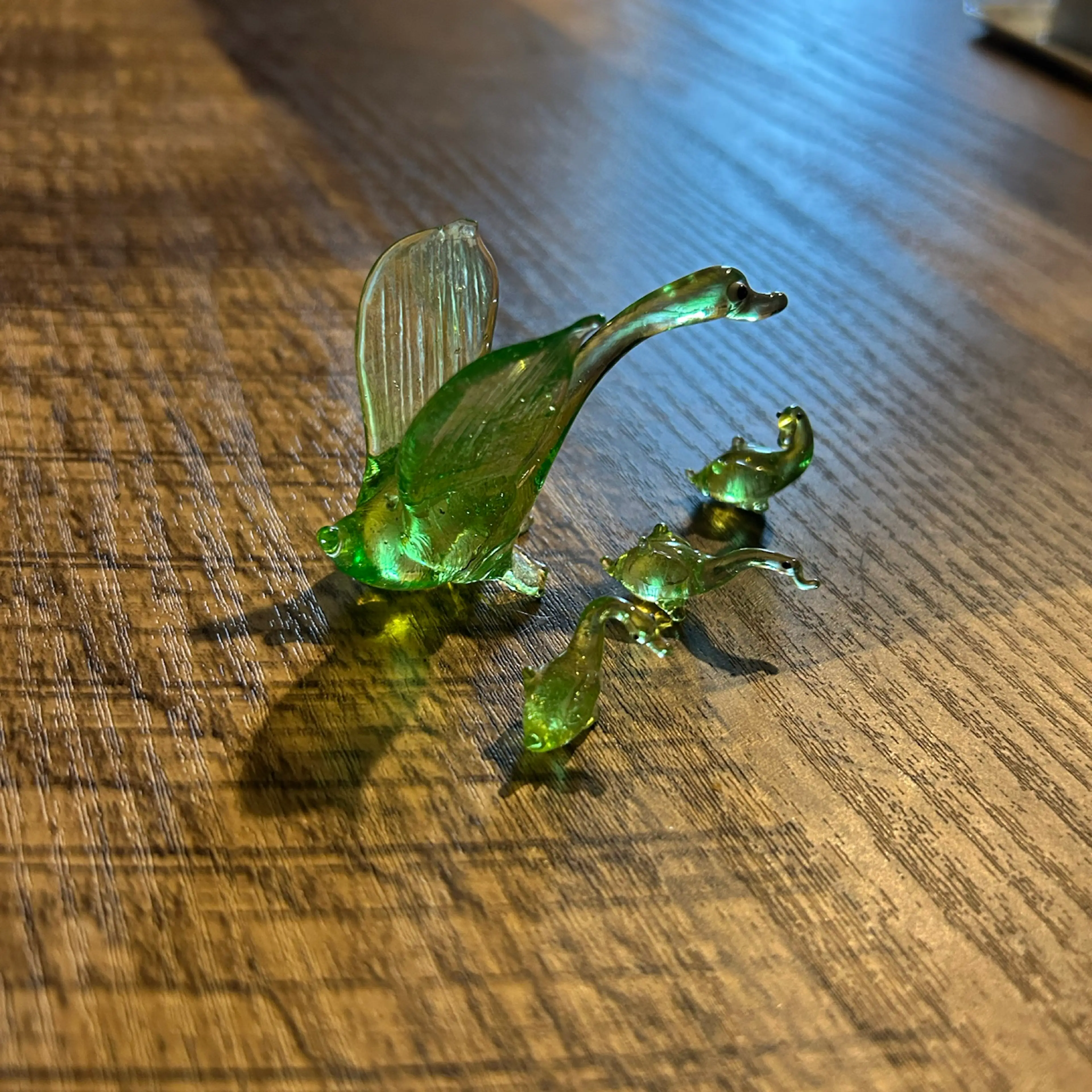 Image 5 of 5