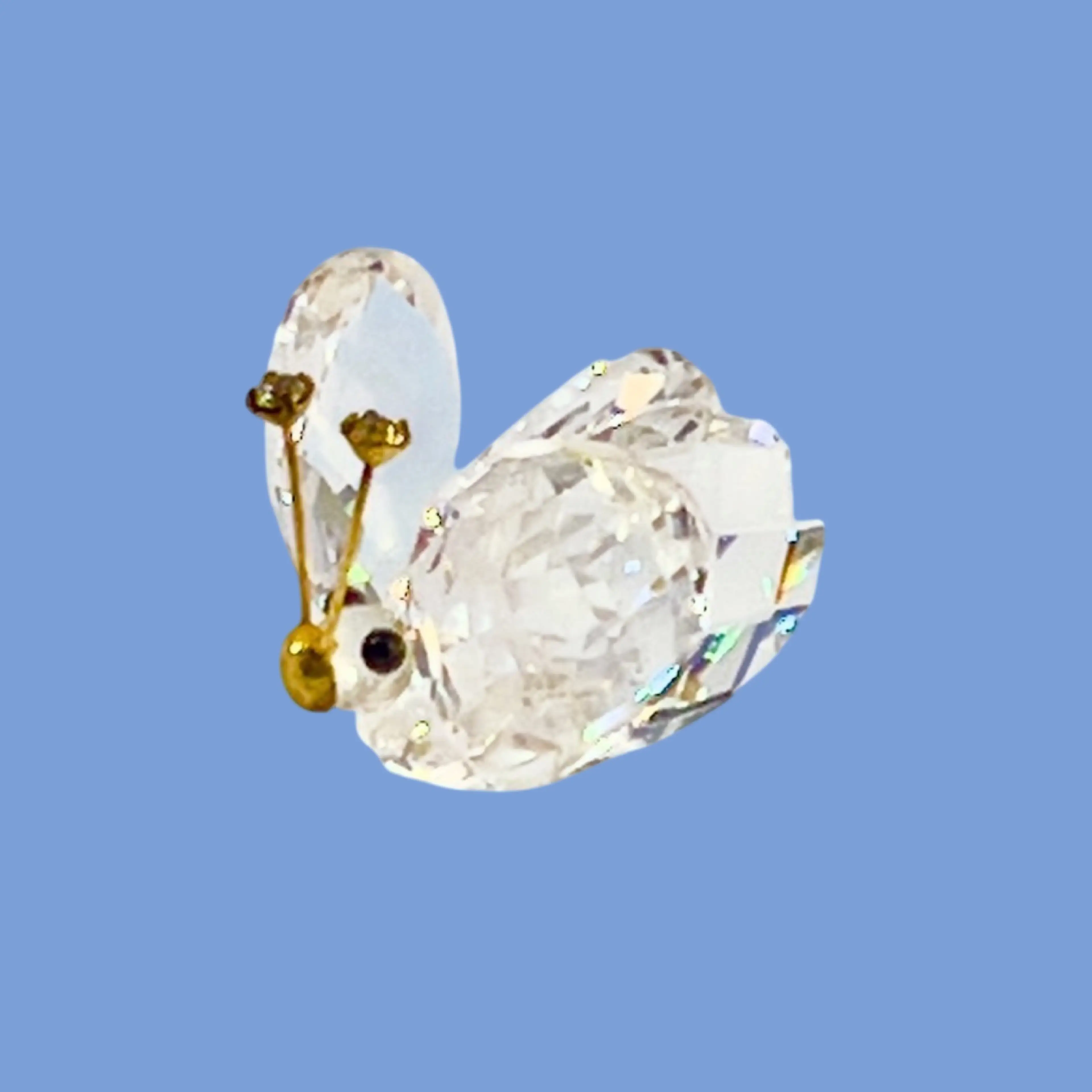 Image 2 of 11