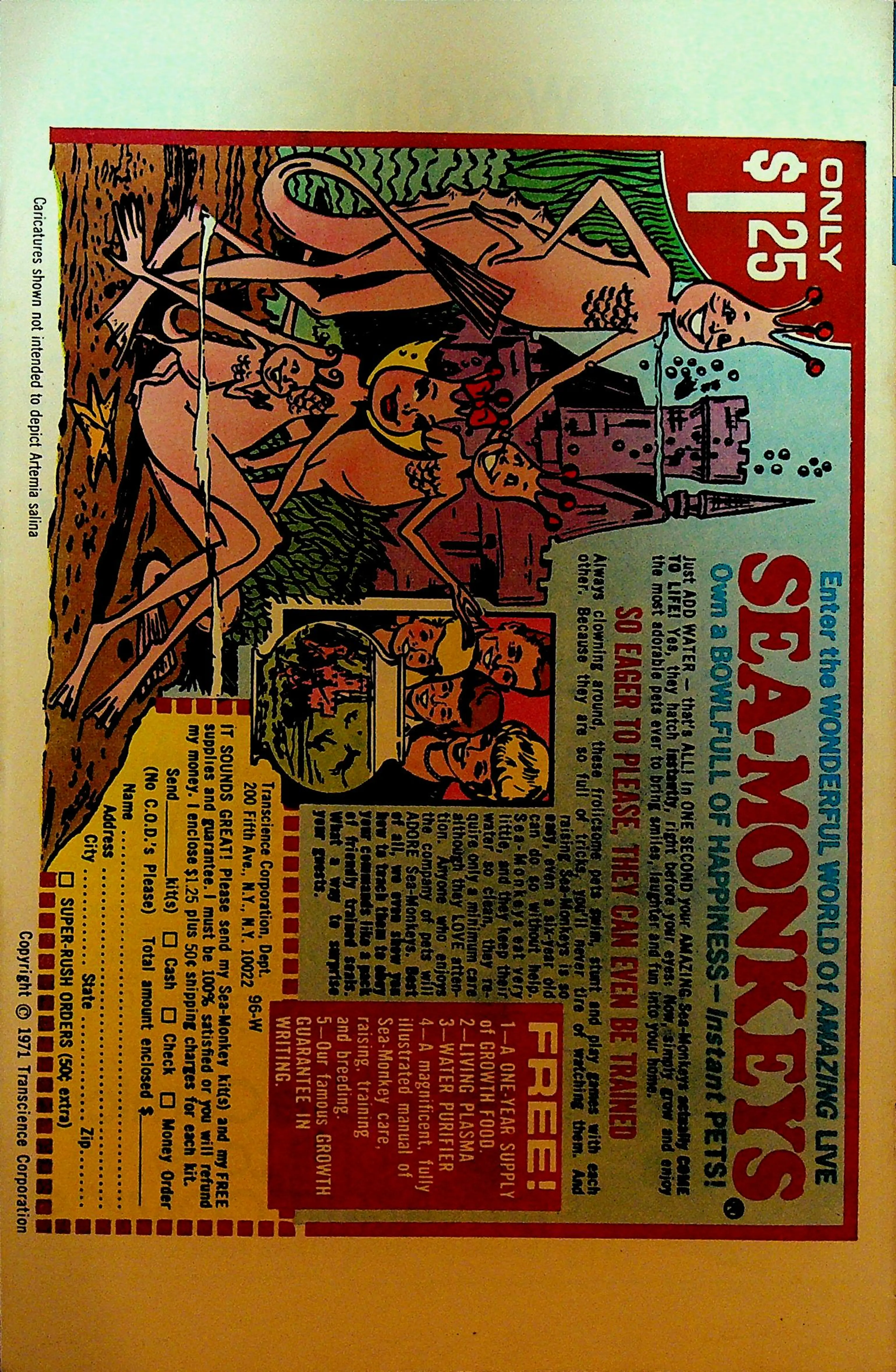 Image 2 of 2