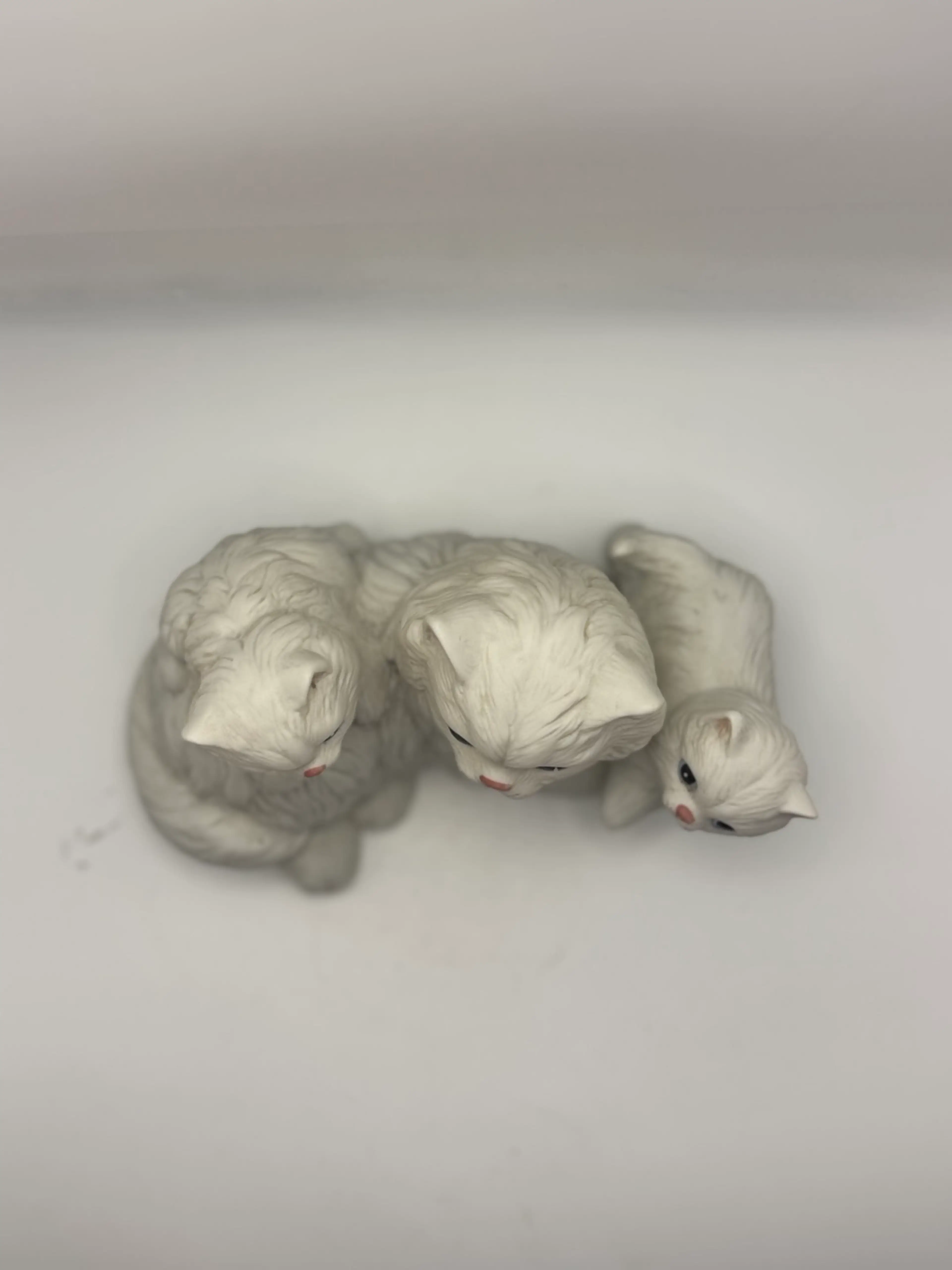 Image 2 of 6
