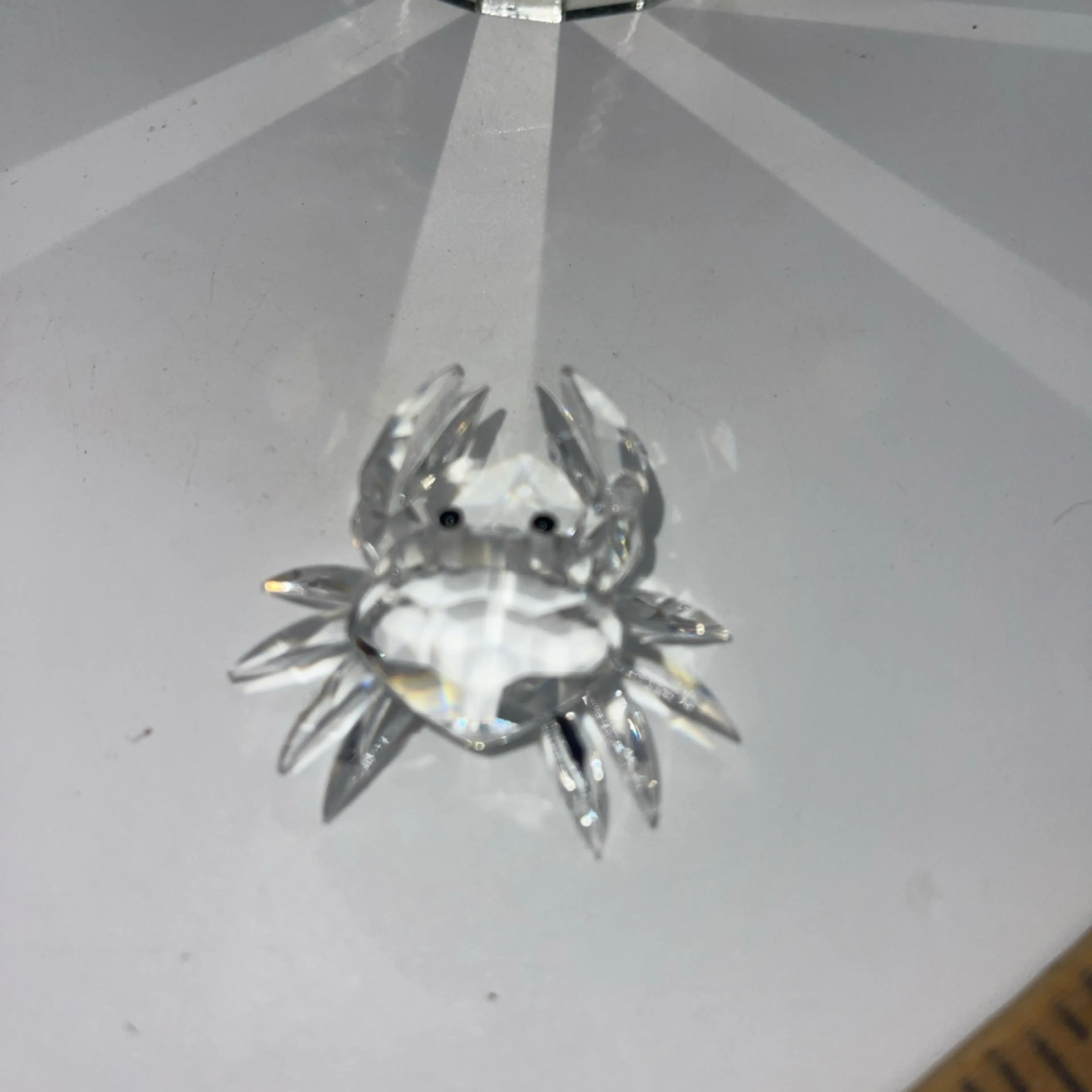 Image 5 of 5