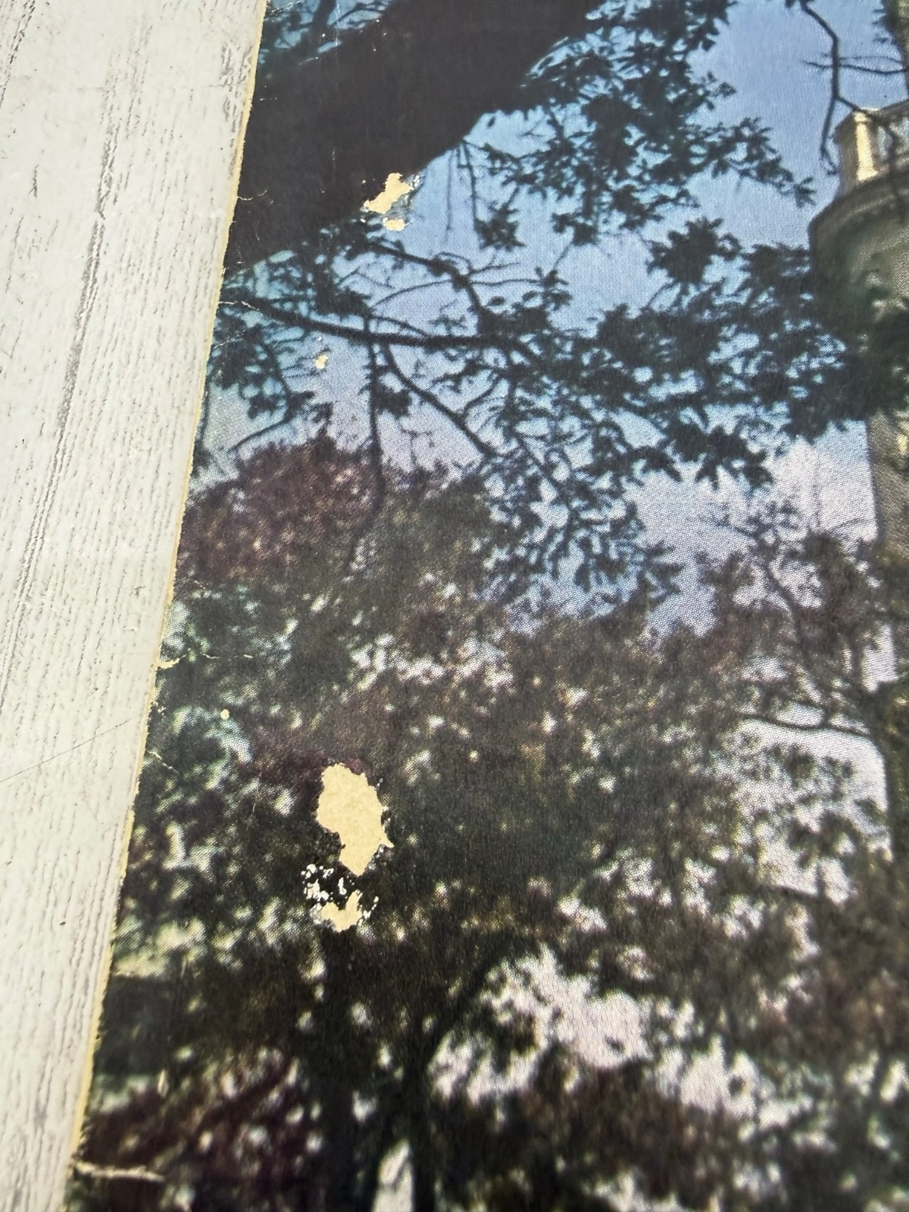Image 4 of 5