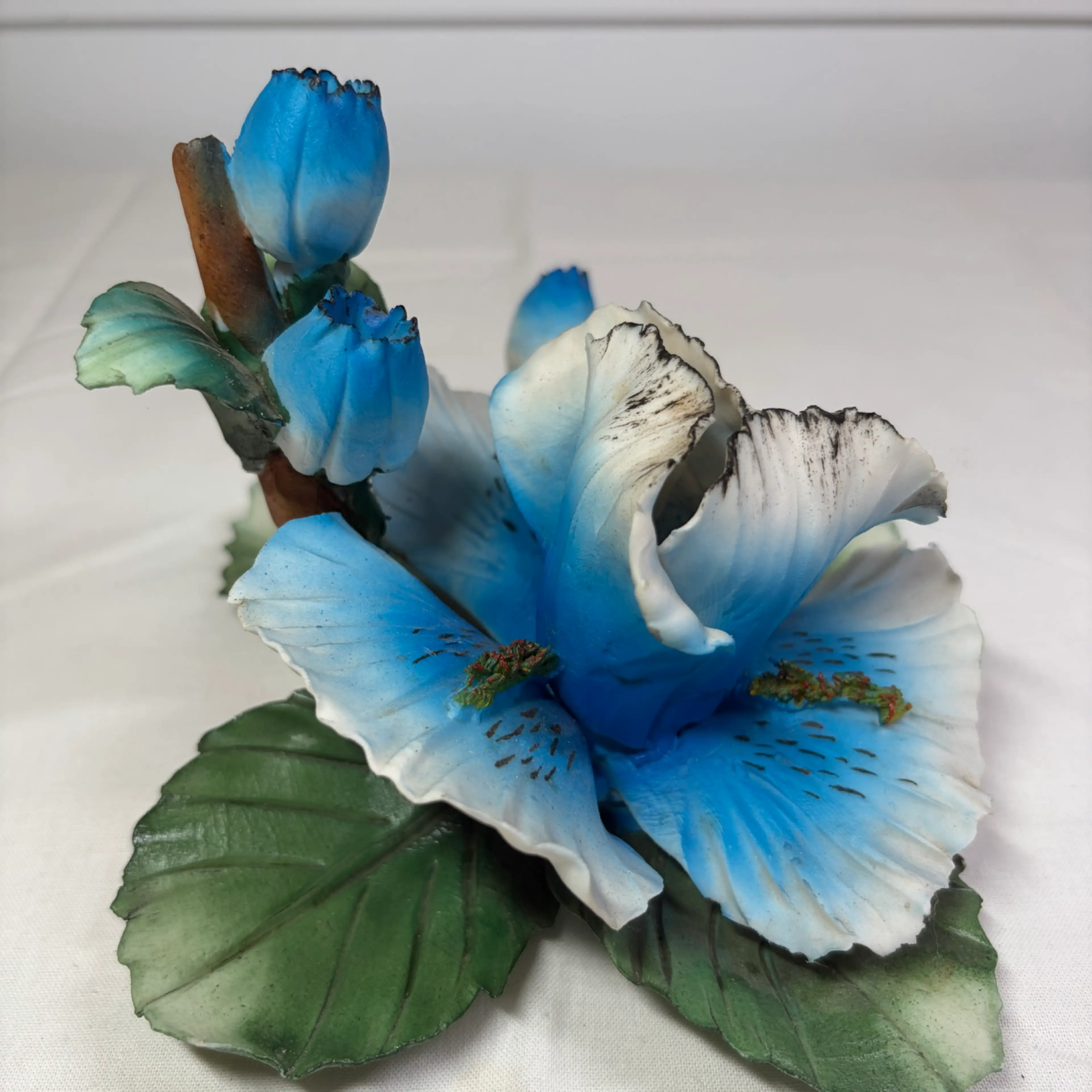 Image 2 of 6