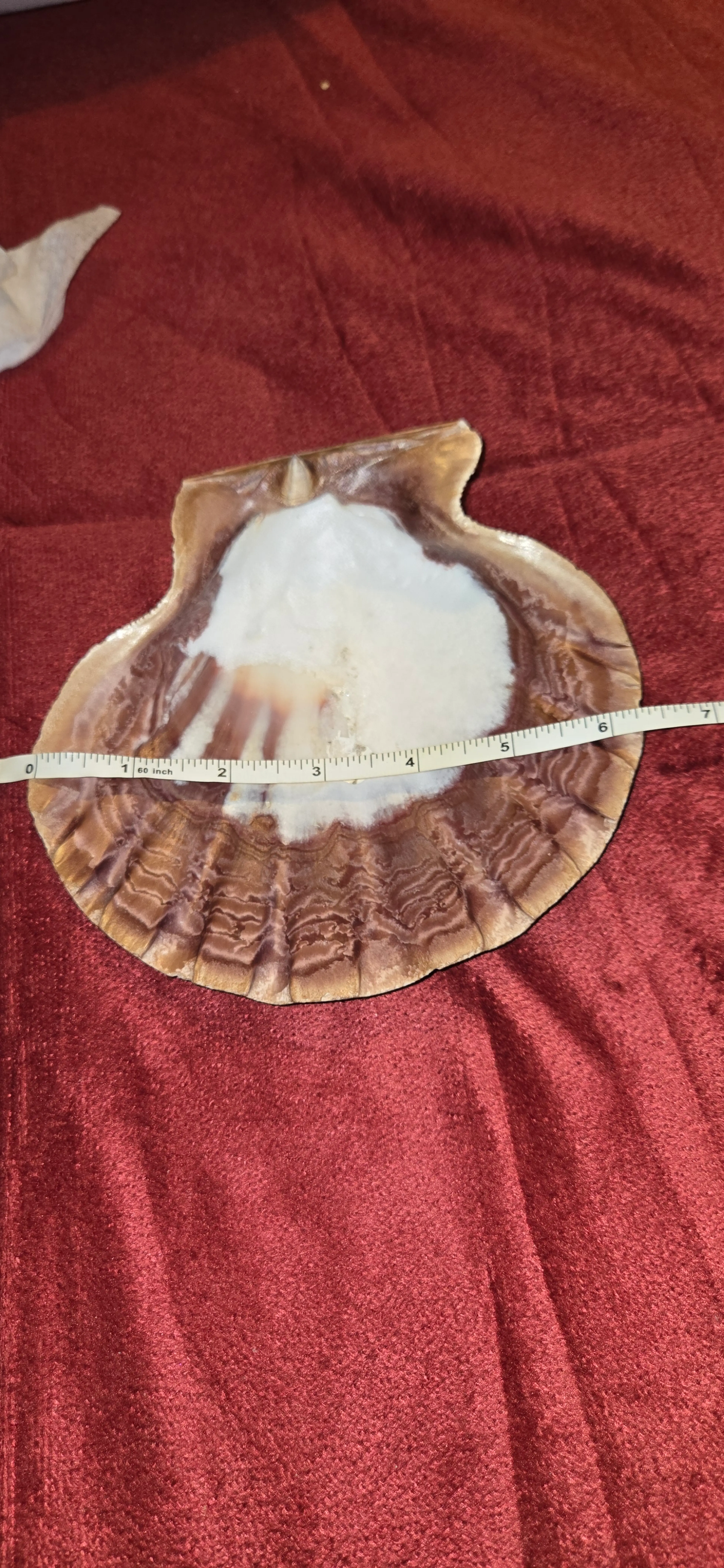 Image 3 of 4